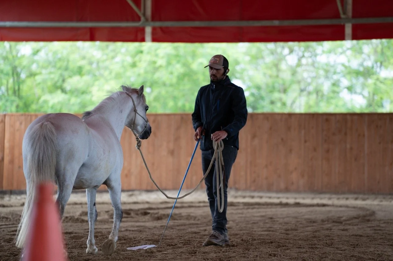 DSC06780 - dimensioni grandi.jpeg