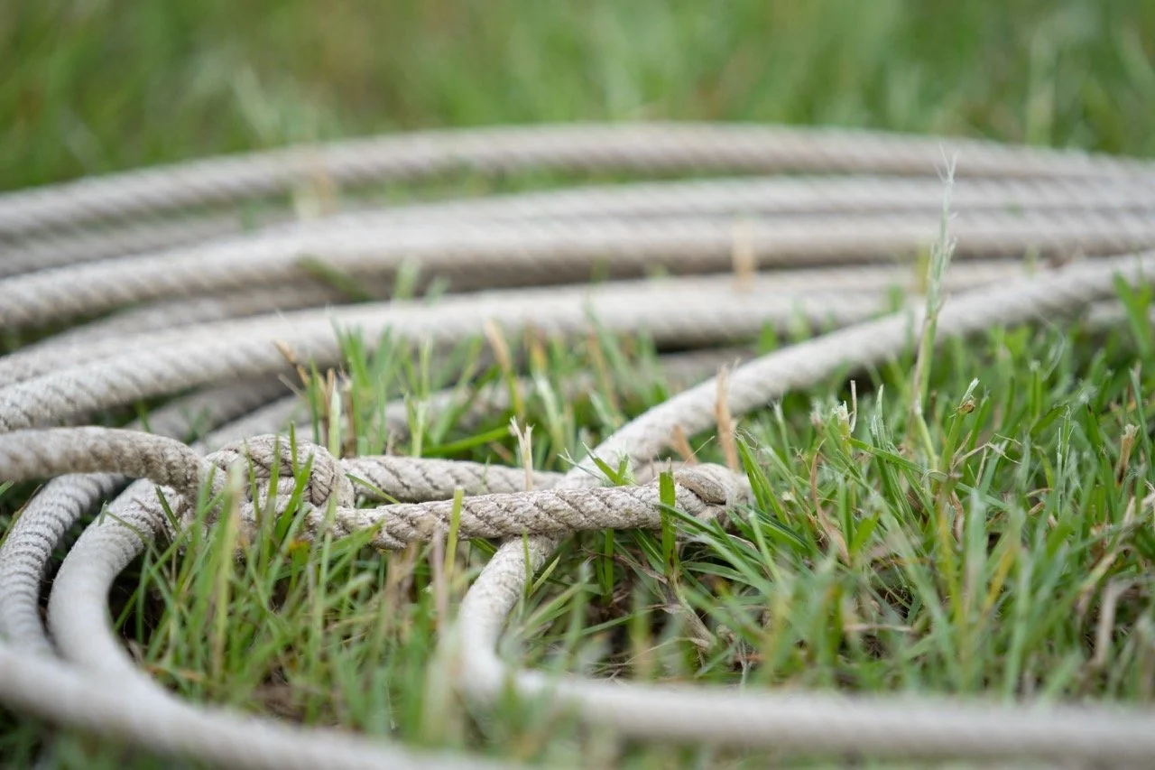 DSC07146 - dimensioni grandi.jpeg