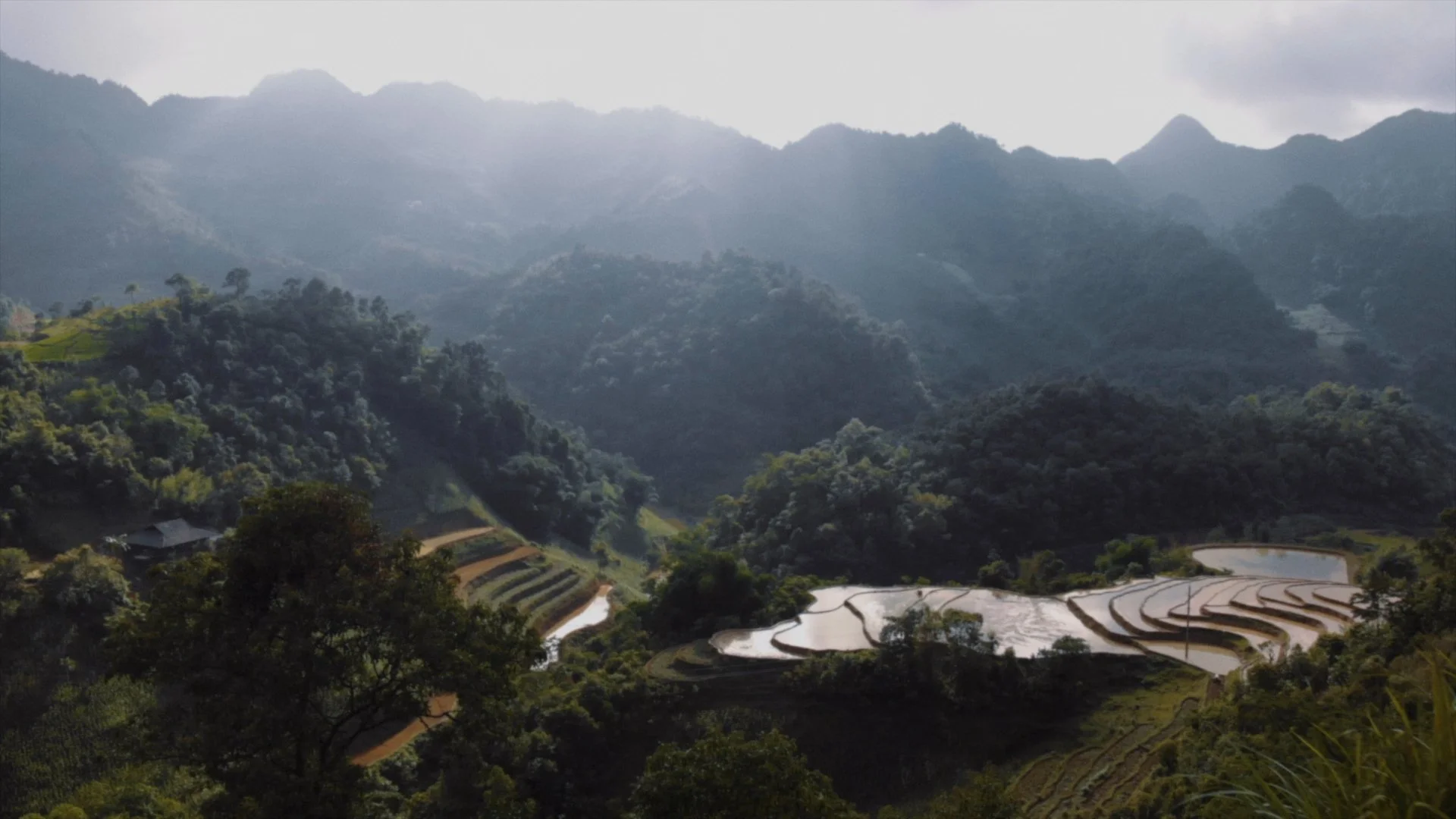 Nam Complete.00_14_00_11.Still004.jpg