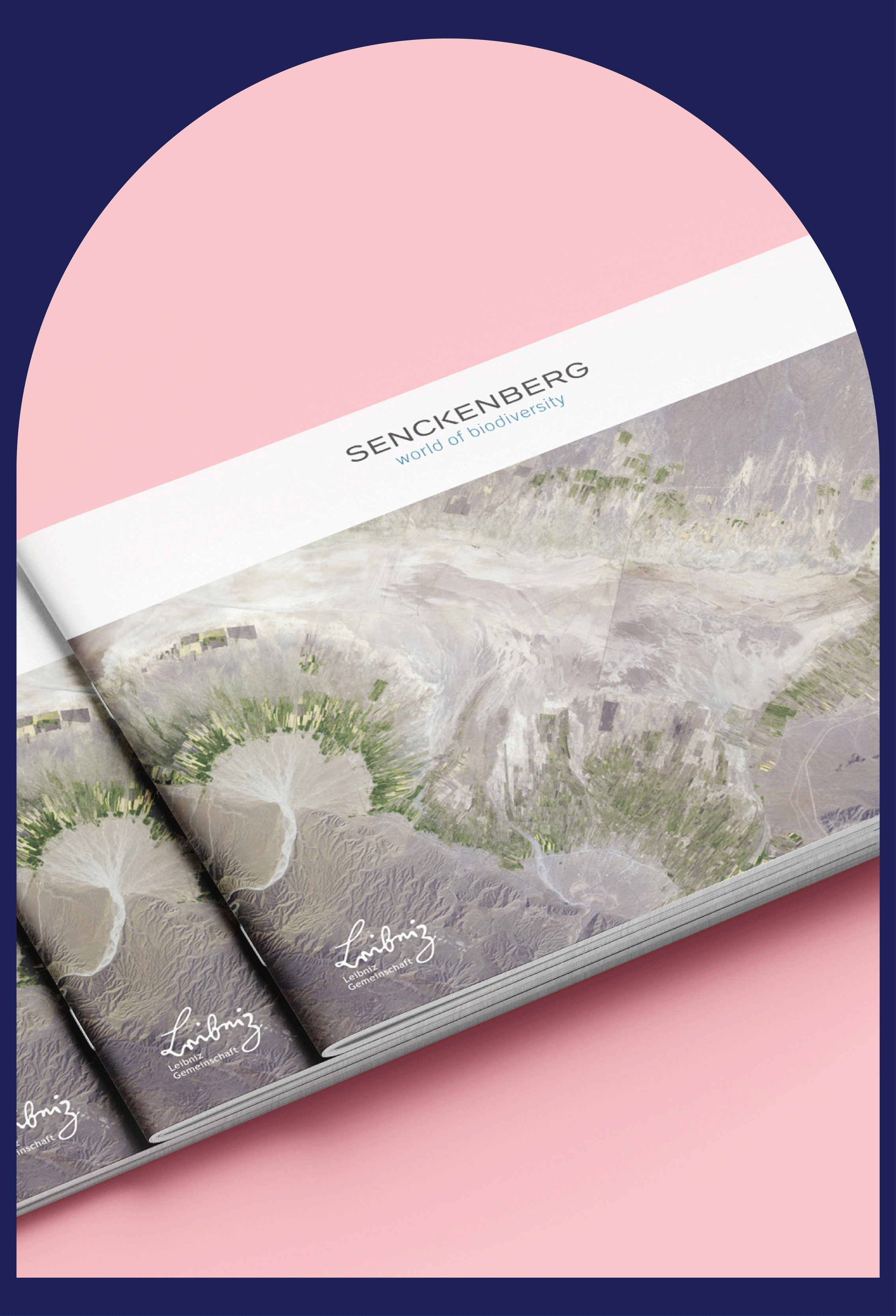 Research for the Future: Senckenberg Annual Report 2021