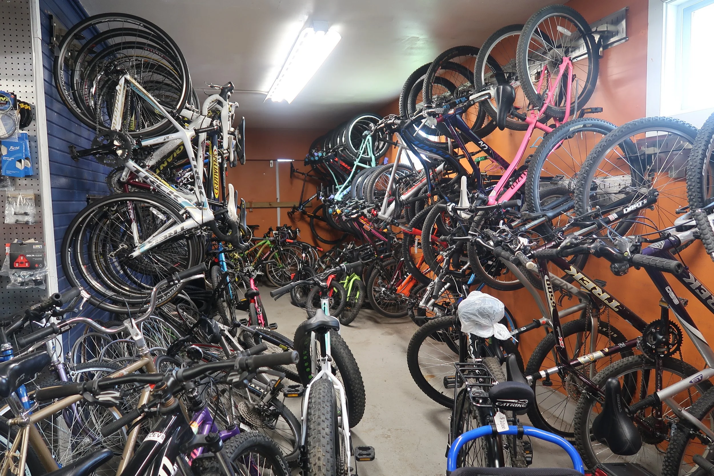 Norte Fall Bike Sale