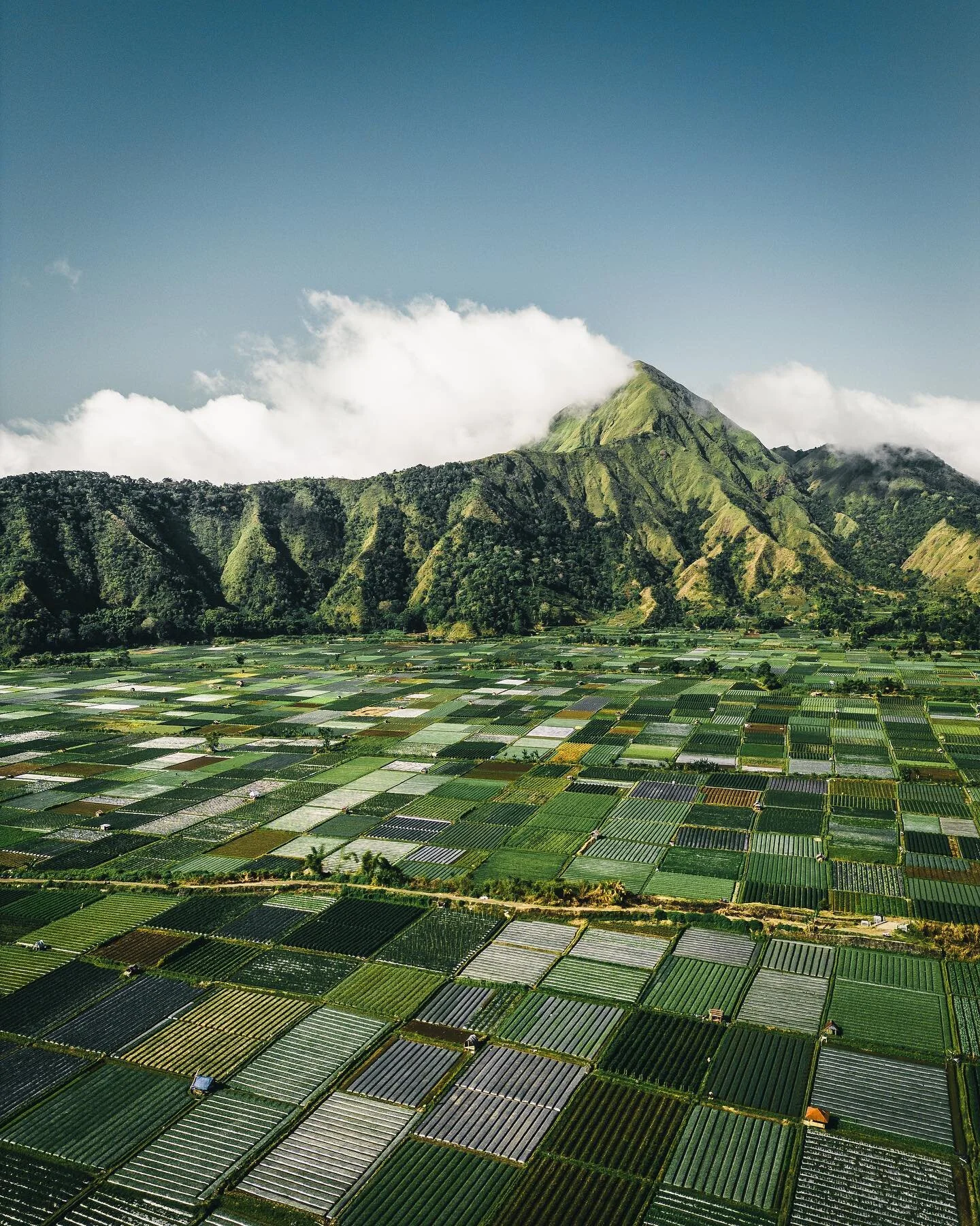 Lombok's rice terraces are unlike any other 🌱 What a scenery !
&bull;
&bull;
&bull;
#igreels #reels #trending #folkindonesia #folkscenery #indtravel #exploreindonesia #voyaged #nakedplanet #beautifuldestinations #travelawesome #earthpix #artofvisual