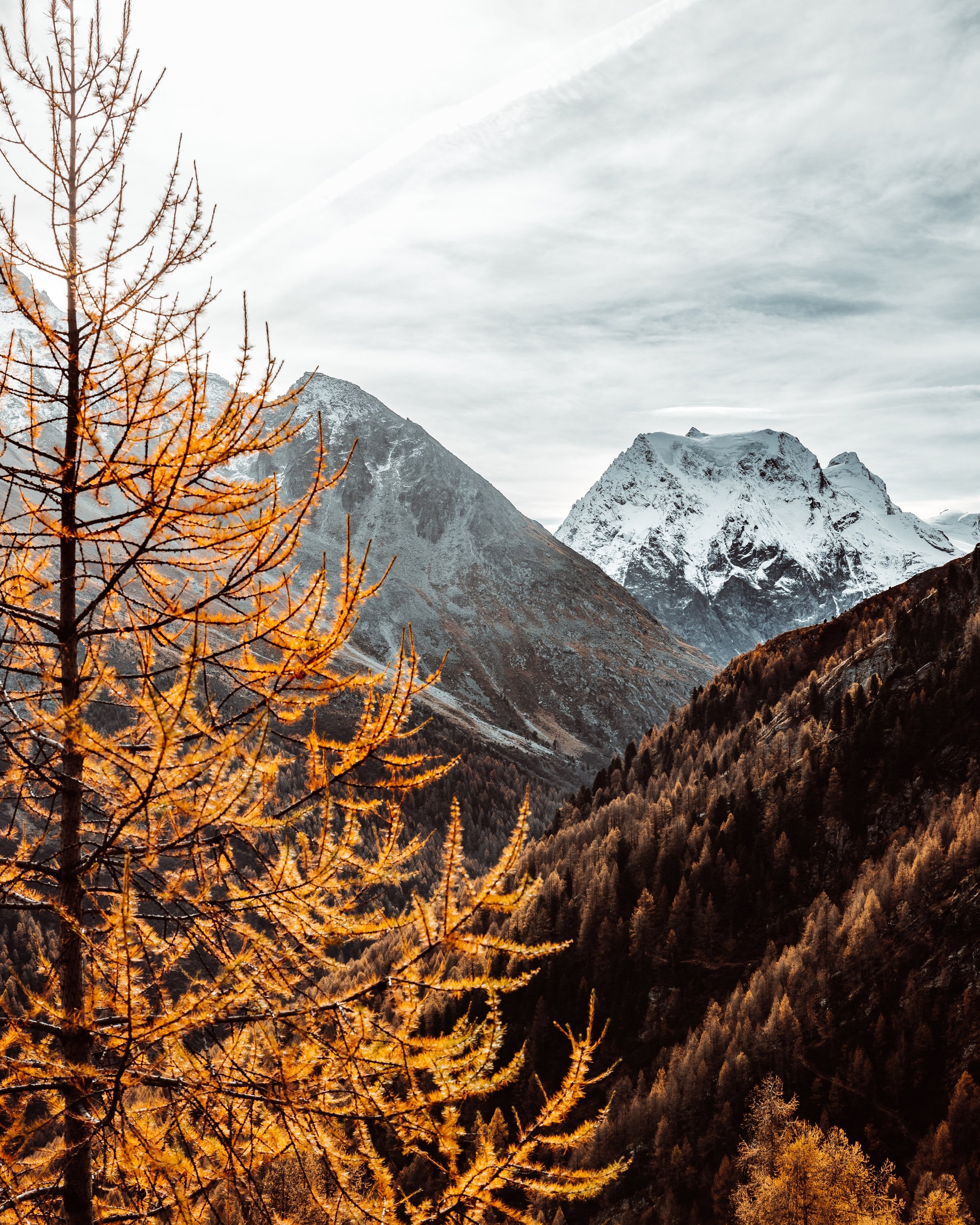 arolla-12.jpg