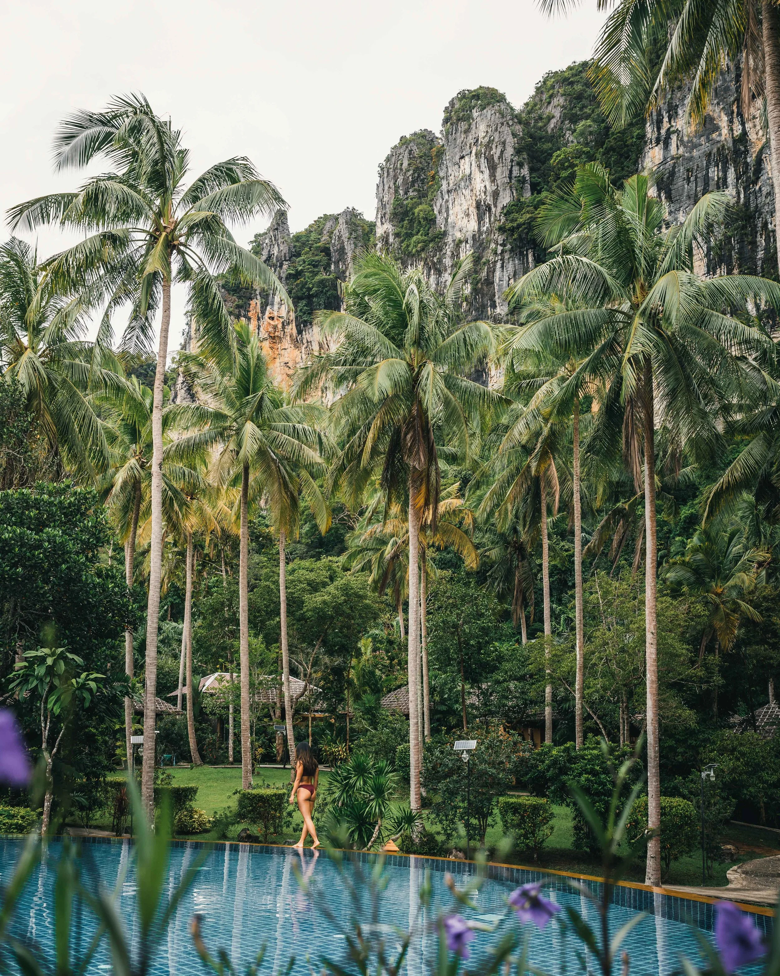 thai.jpg