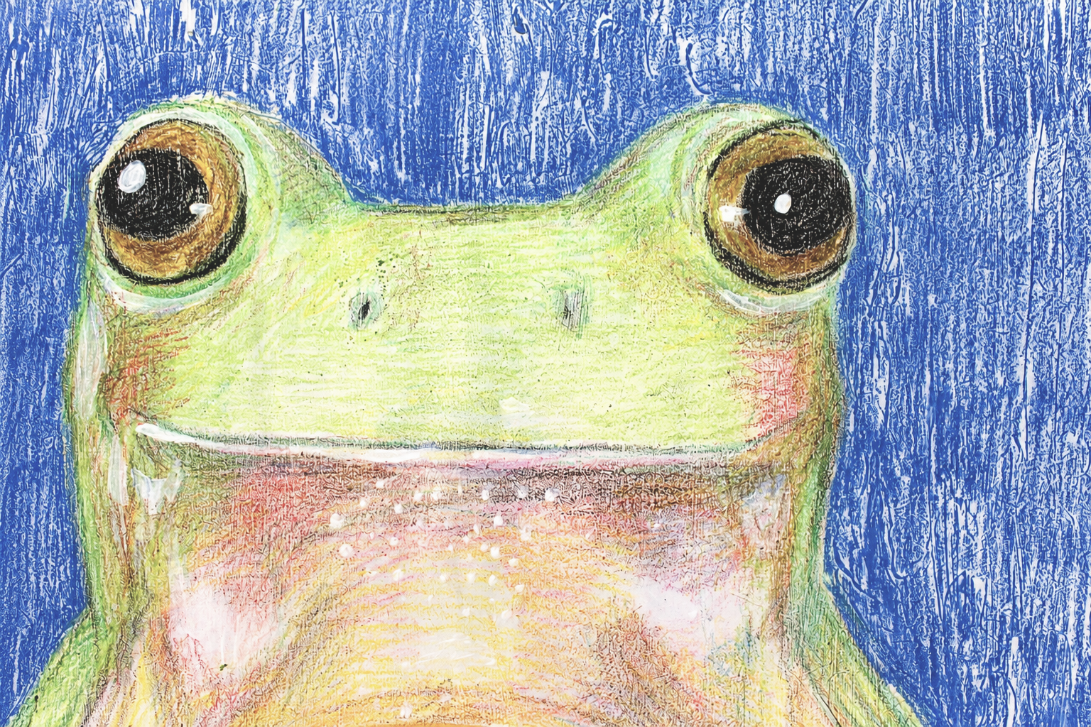 details-frog.png