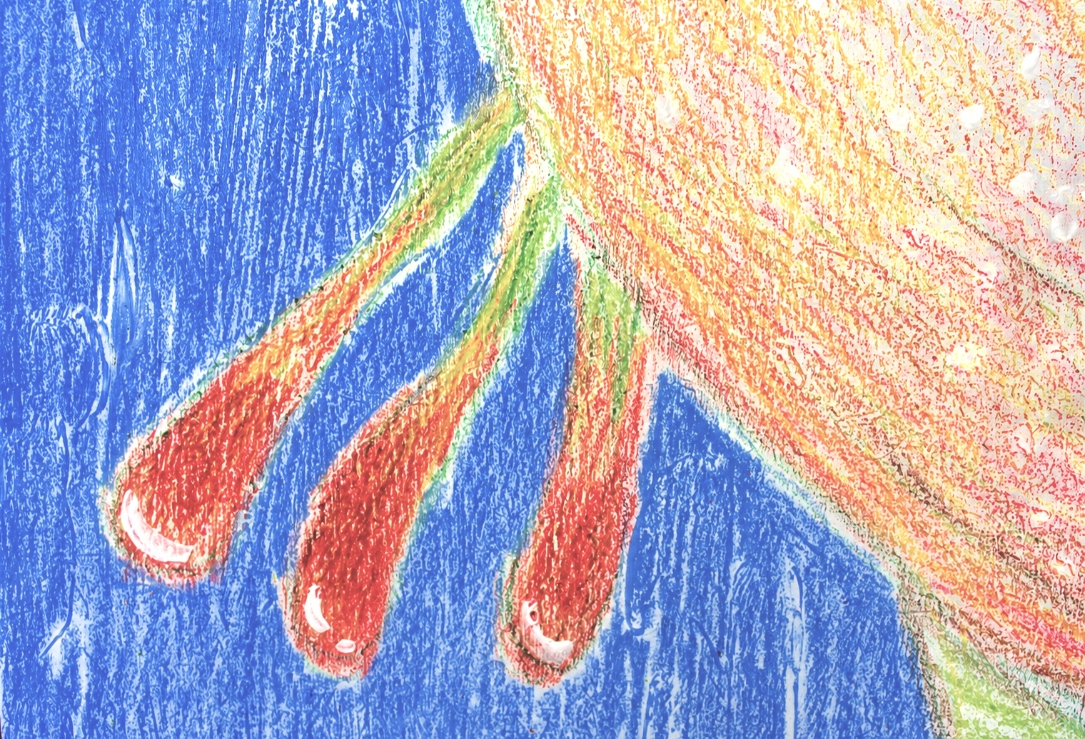 frogdetails-2.png
