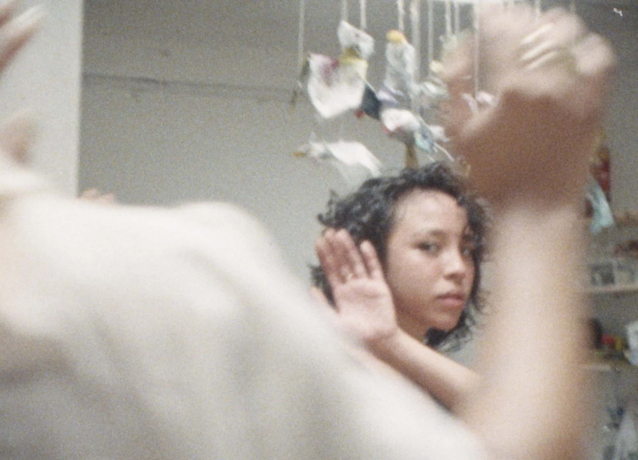 <a href="https://www.waqasghani.com/fruit-of-this">NO SHAME <br> Fruit Of This</a>