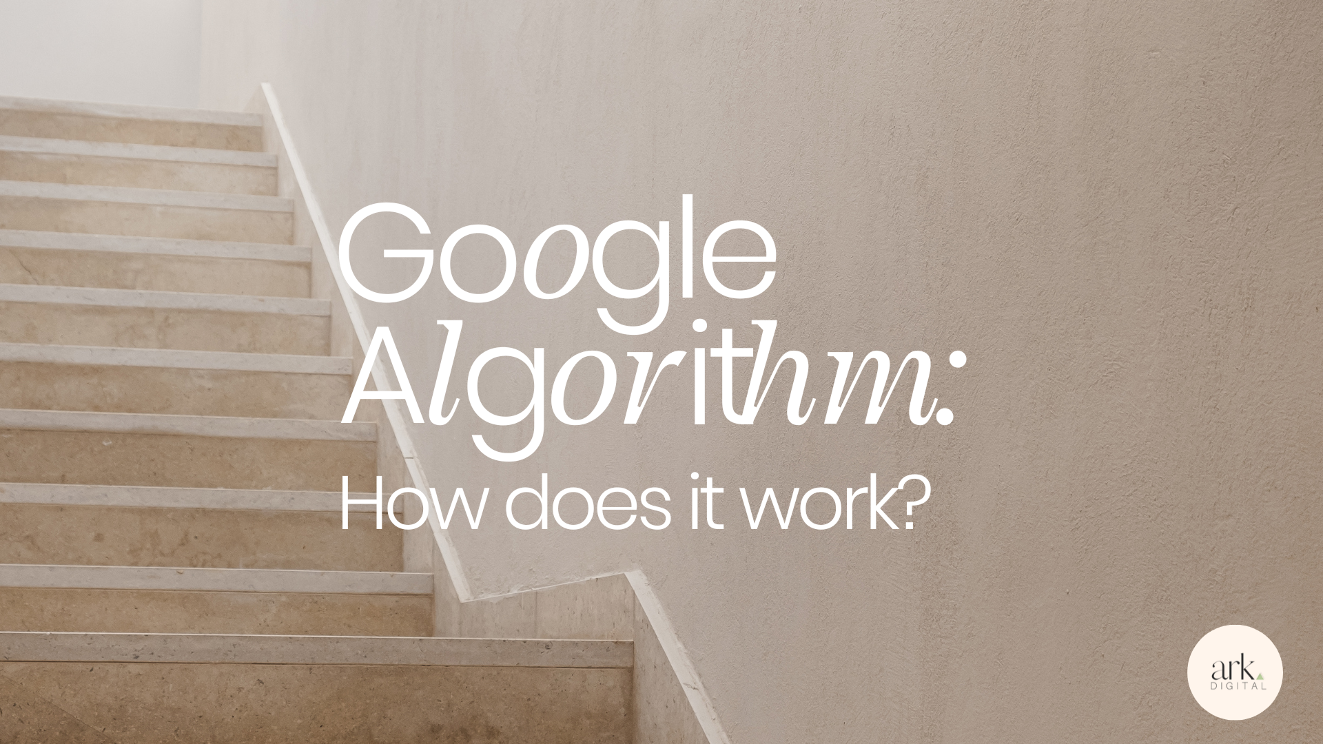 google business profile management service