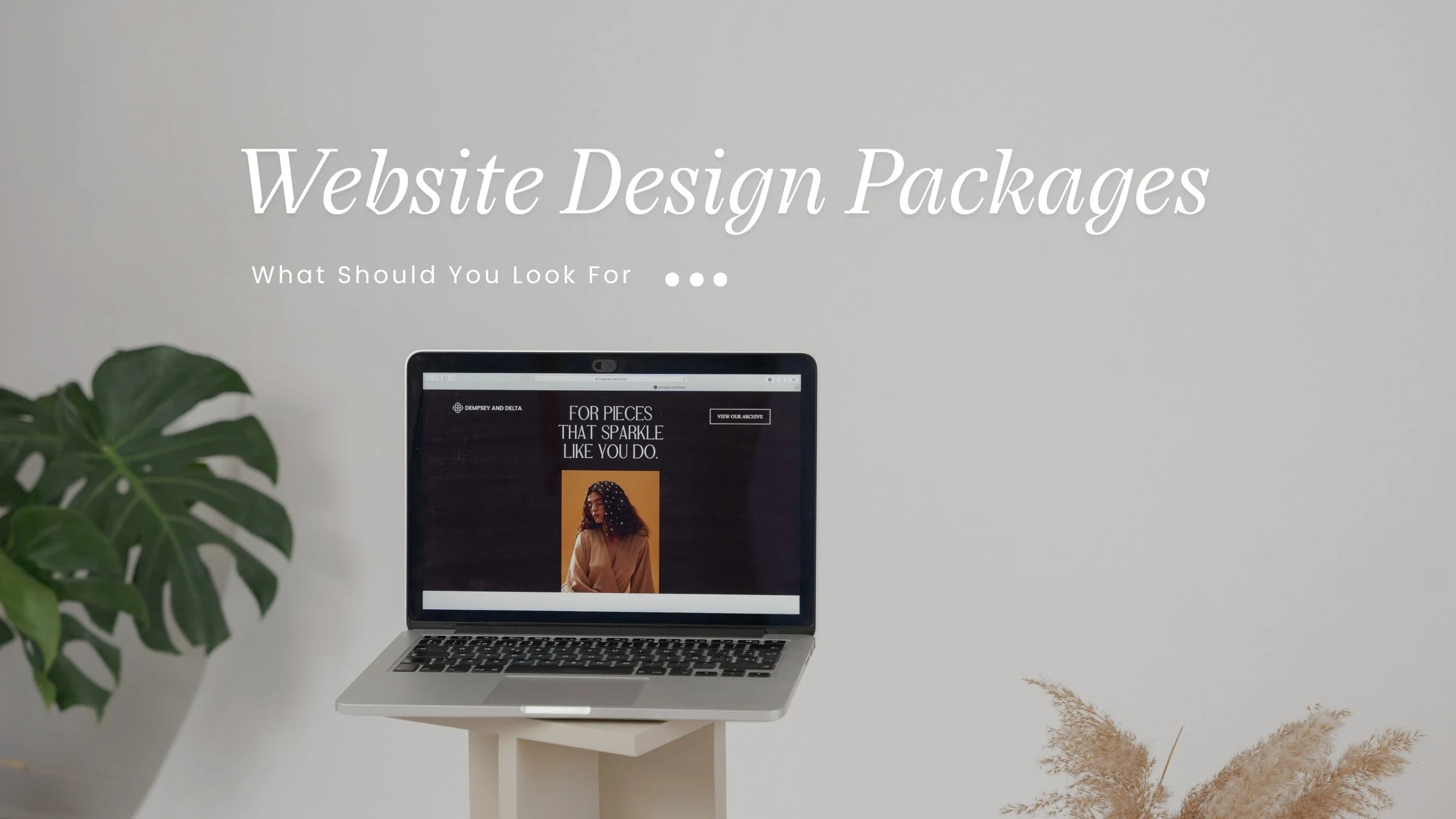 Website Design Packages: What Should You Look For?