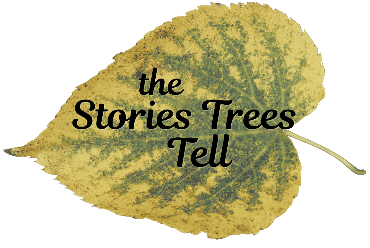 the Stories Trees Tell