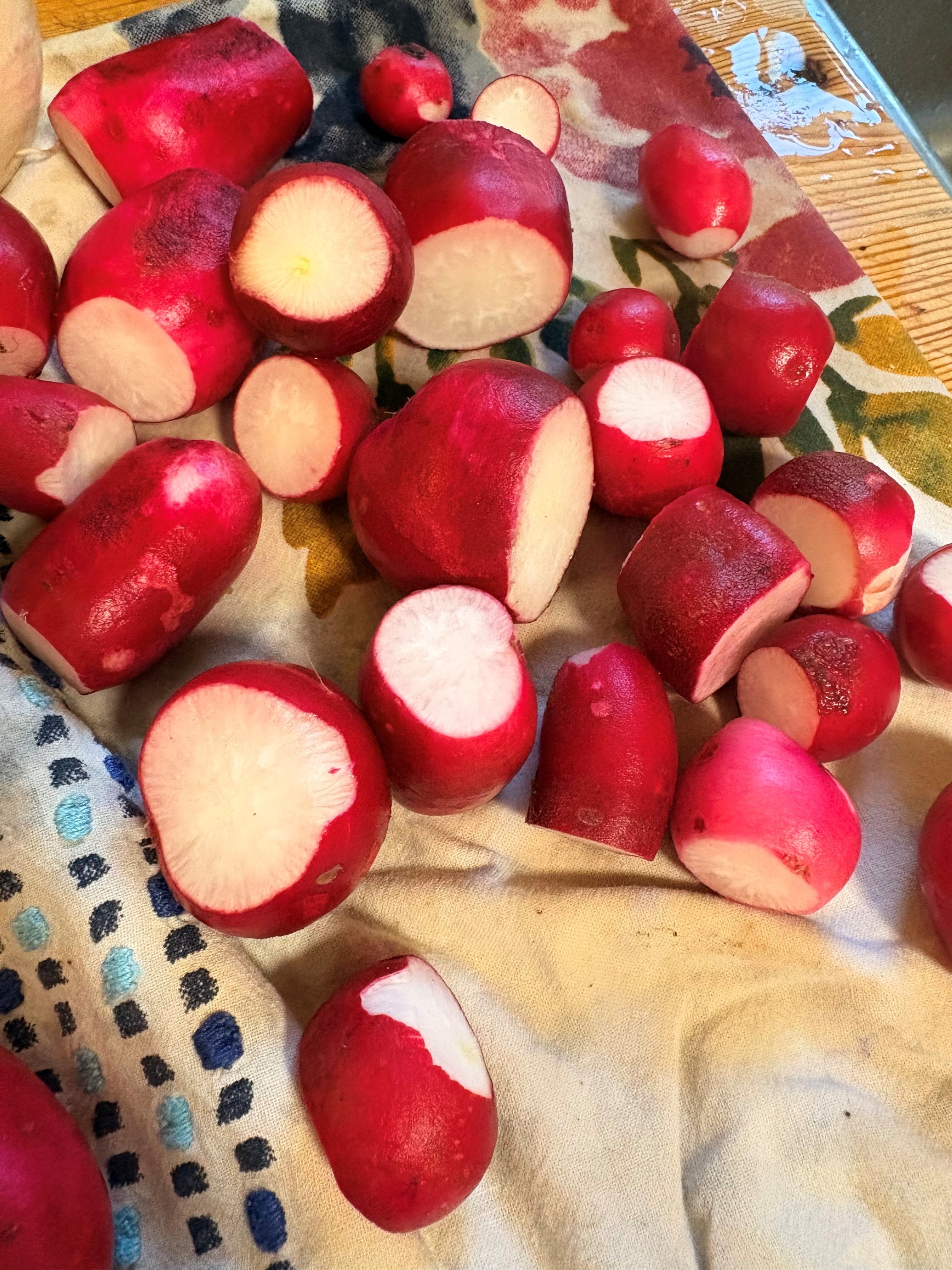 radish 2.jpg