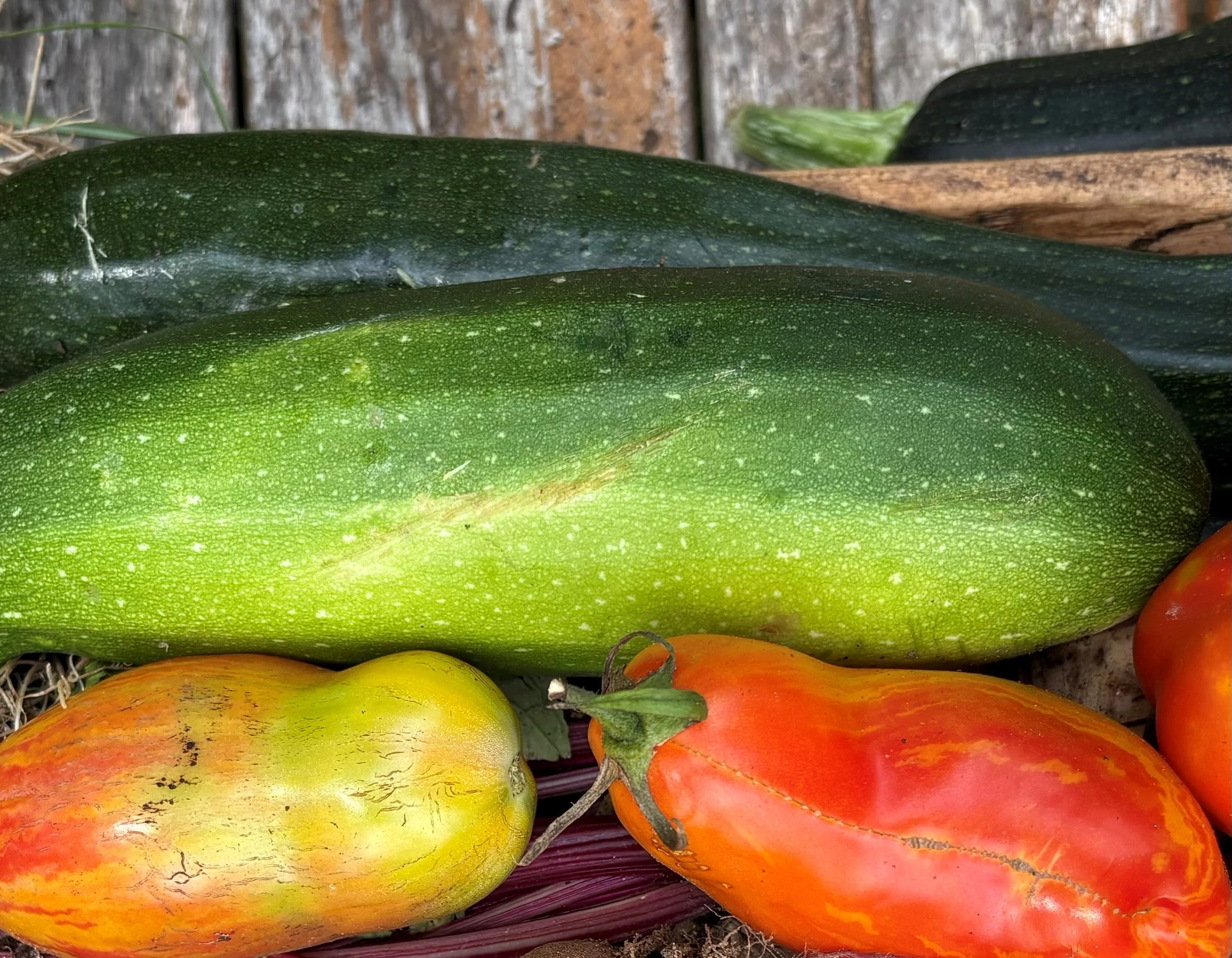 zuchinni.jpg