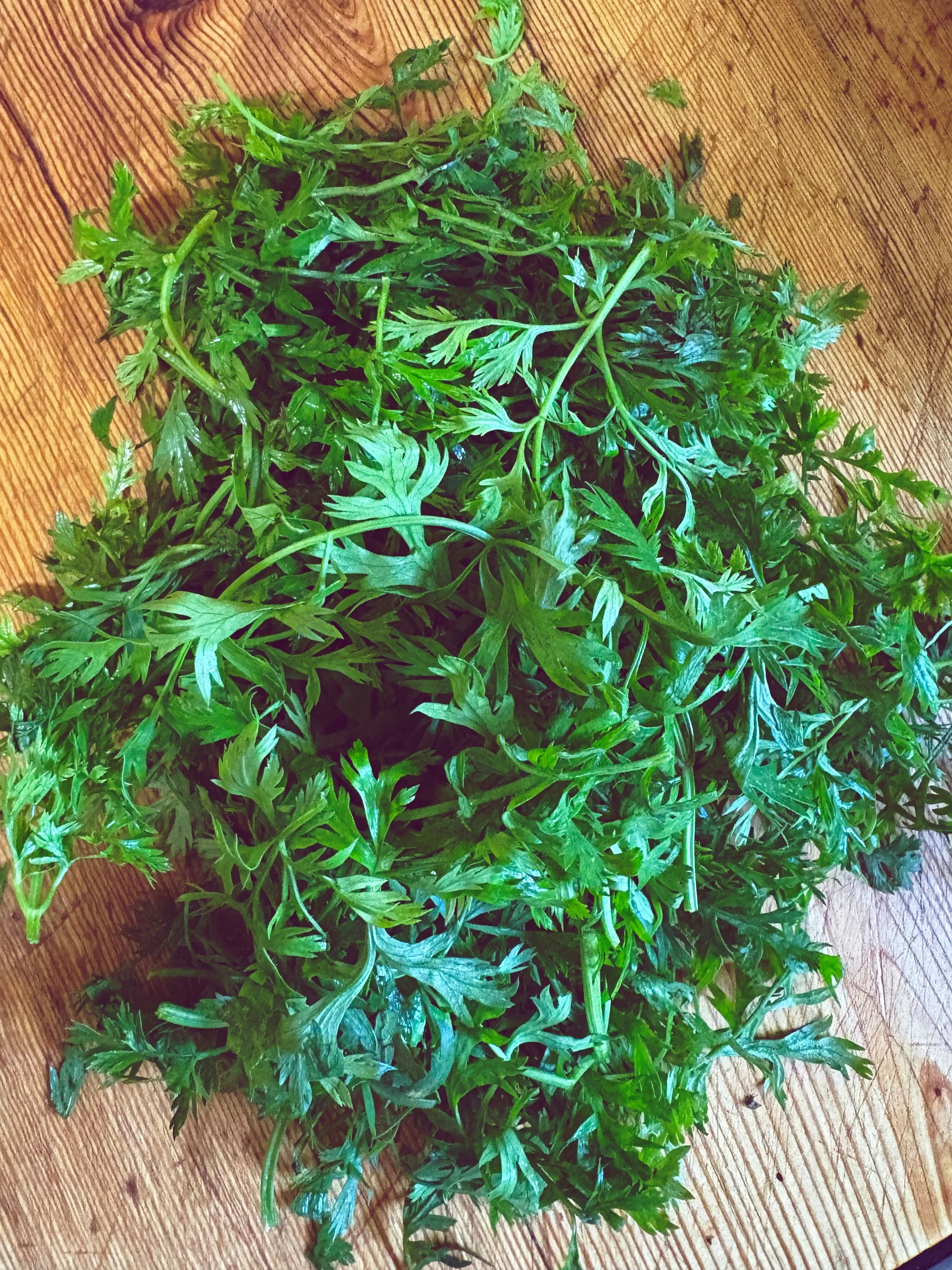 carrot greens.jpg