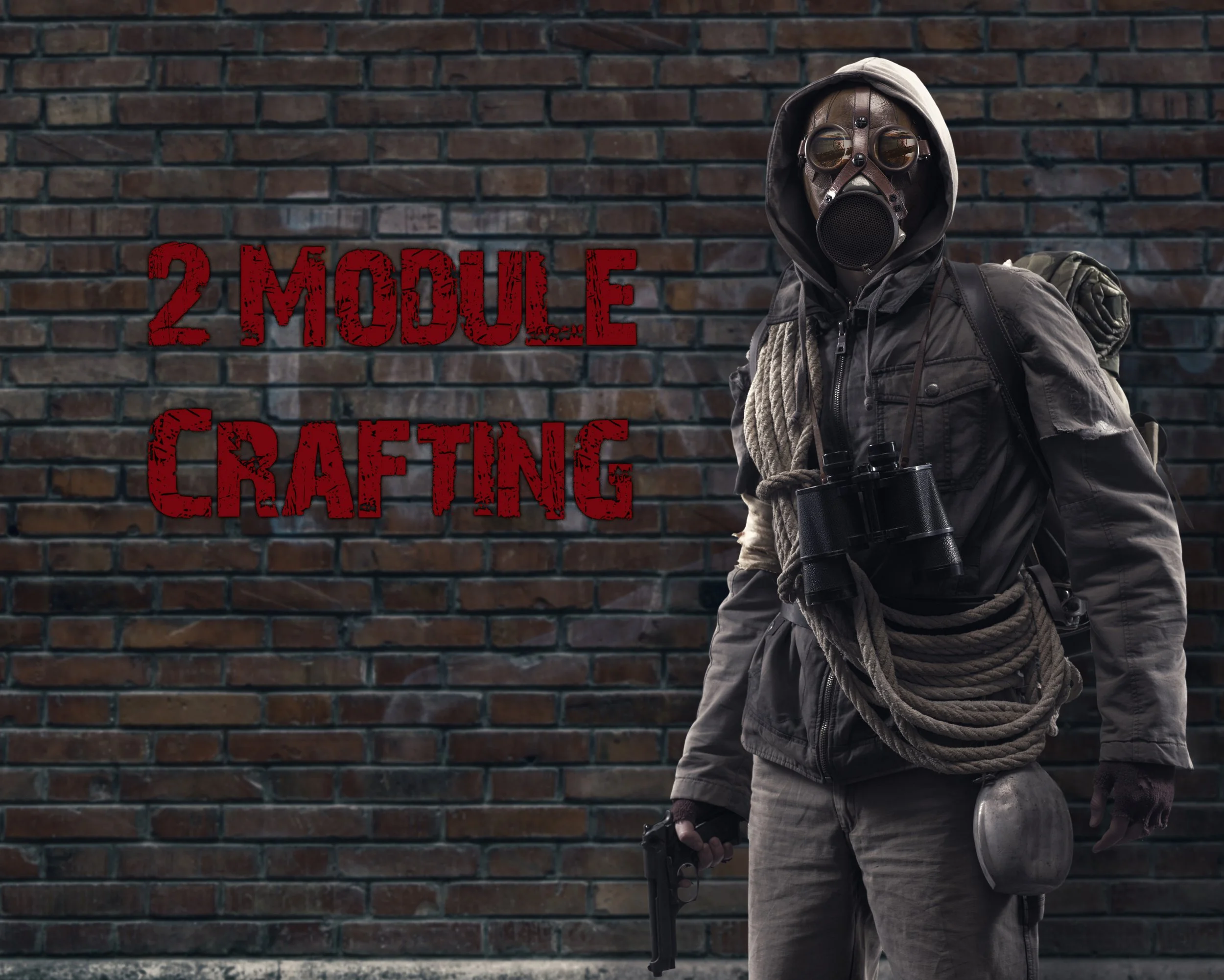 2Module.jpg
