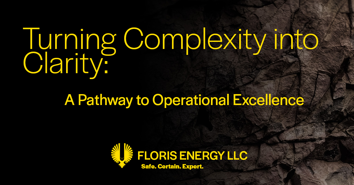 Turning Complexity into Clarity: A Pathway to Operational Excellence 