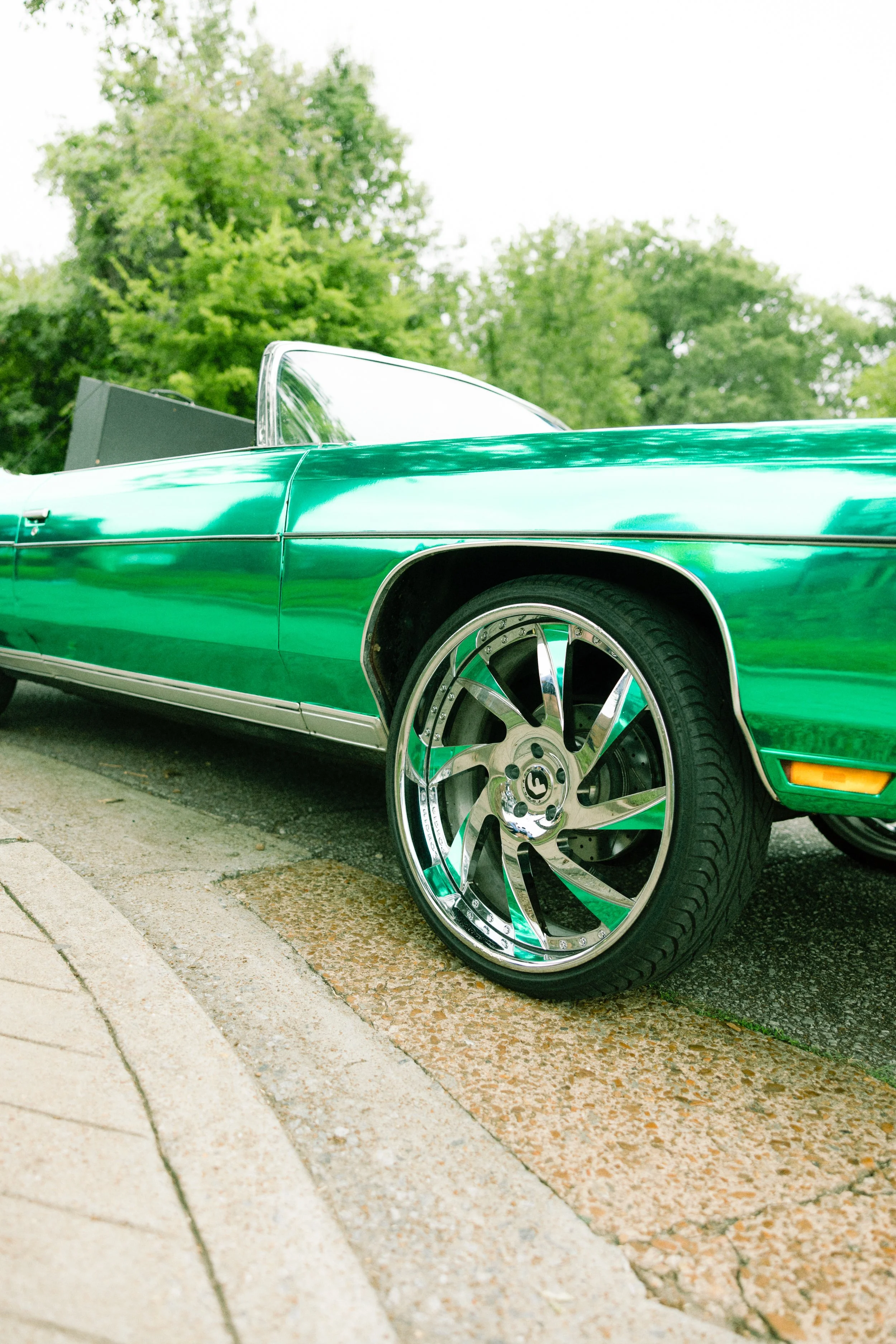 6R6A4824-Edit.jpg