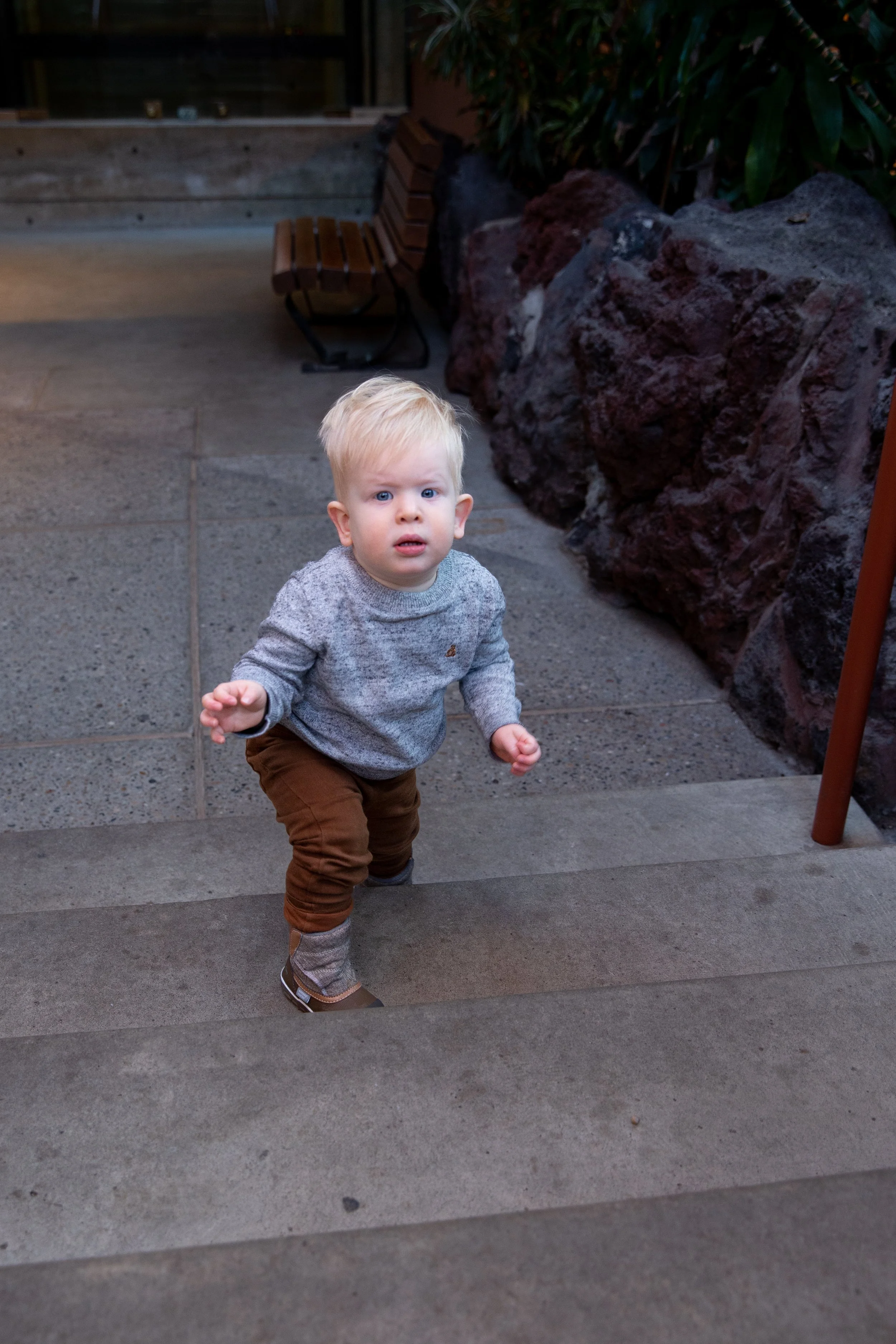 Kingston Family Photos 2023 -031.jpg