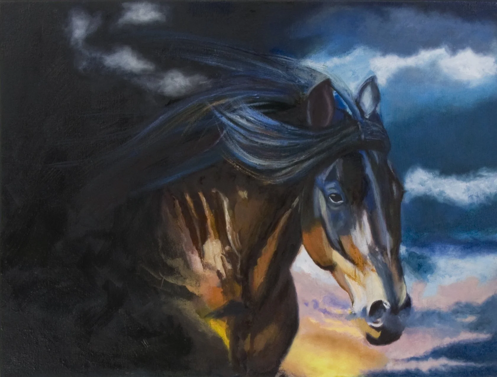  The Heart of a Horse 