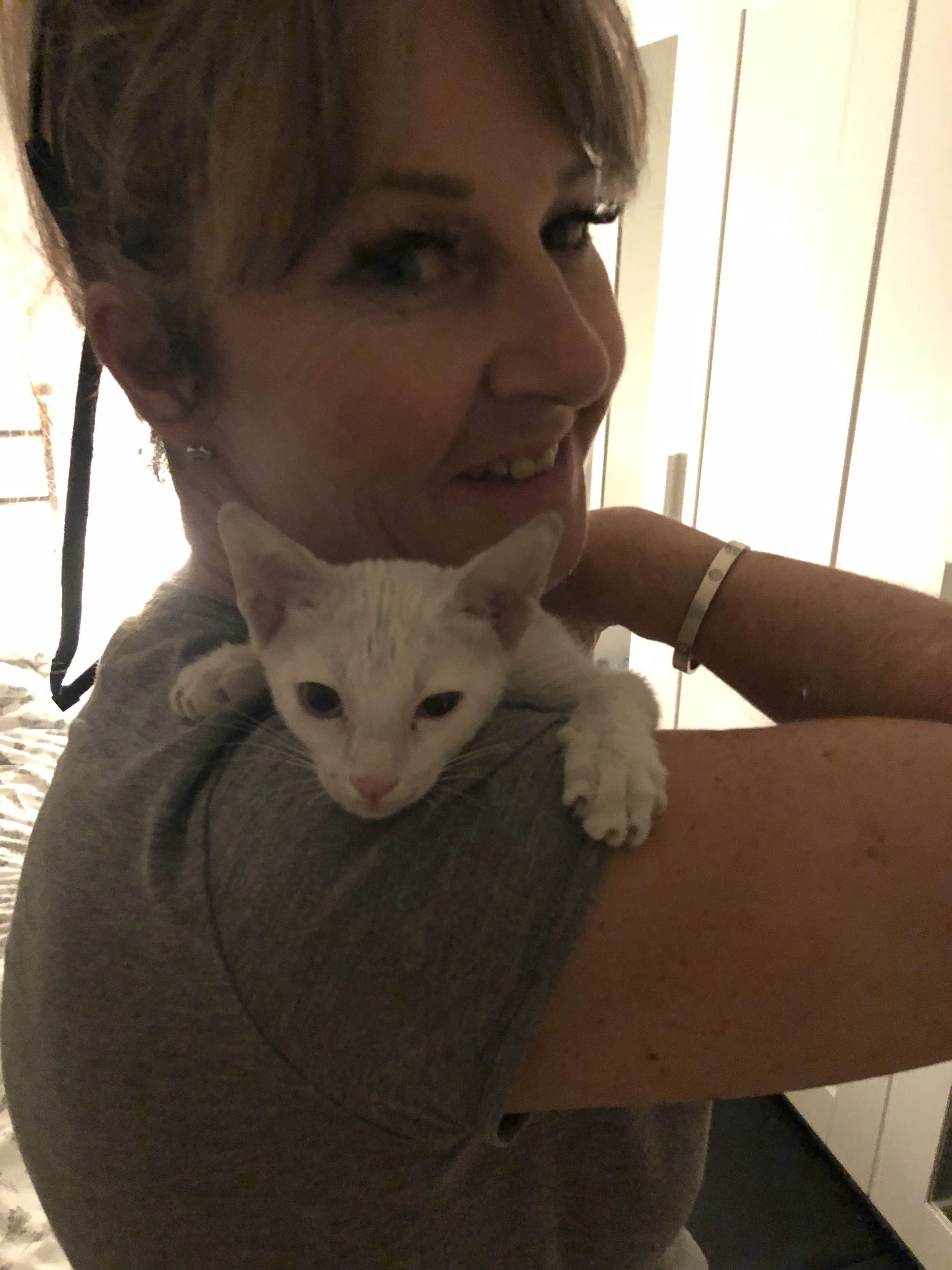 Rescue animal resting calmly, symbolising love, loyalty, and trust