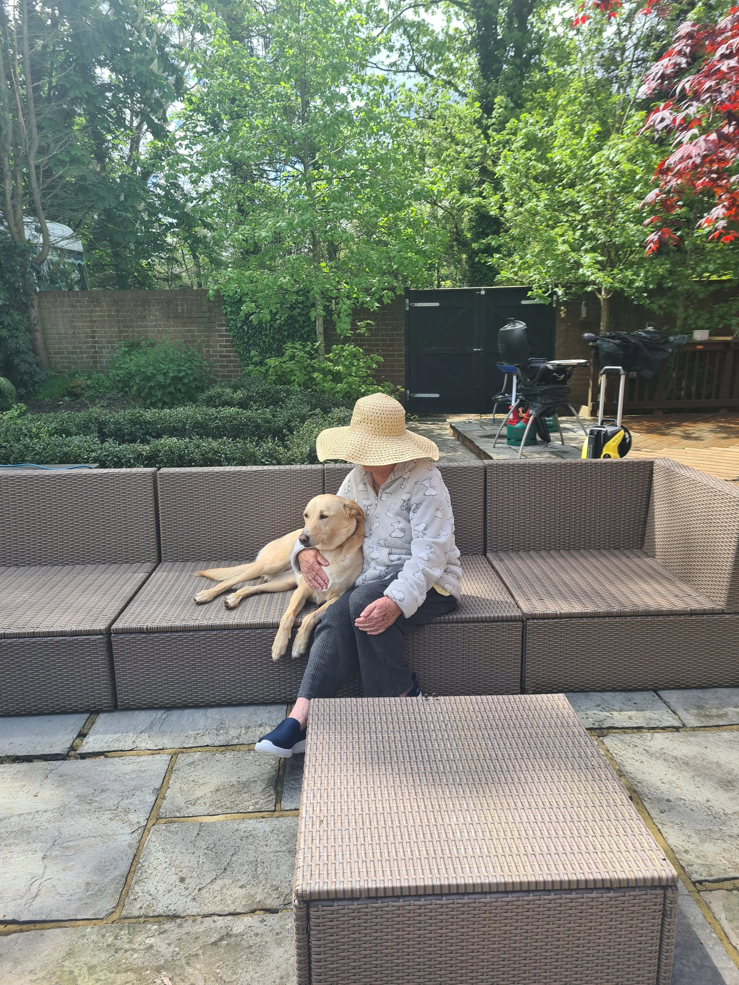 a dog sits peacefully next to a dying lady in the garden