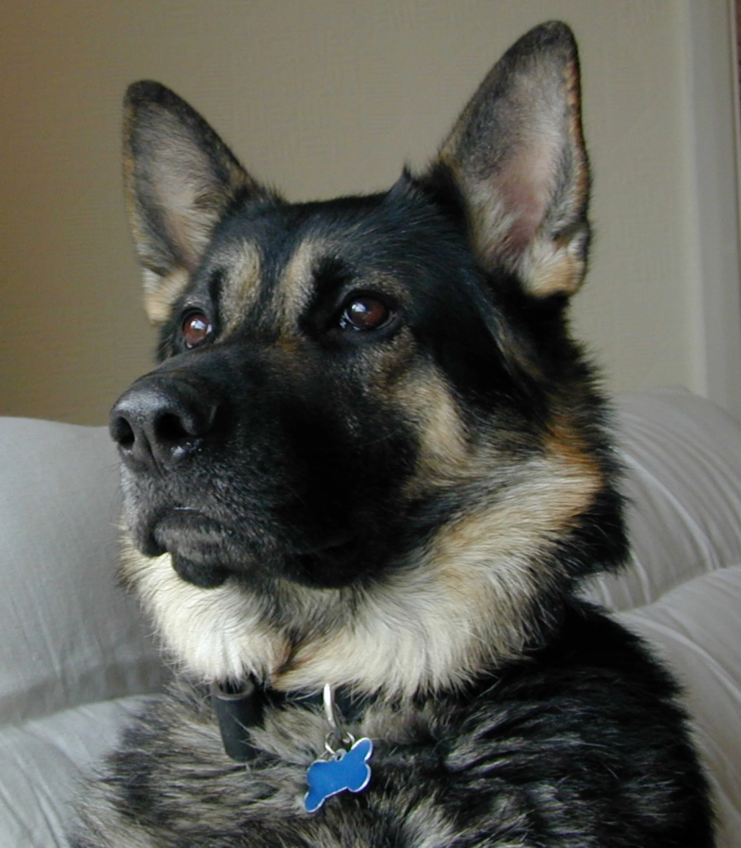 109BC020-3A4C-4D91-A74C-A794EFFA40A6DSCN9999 (1).jpeg