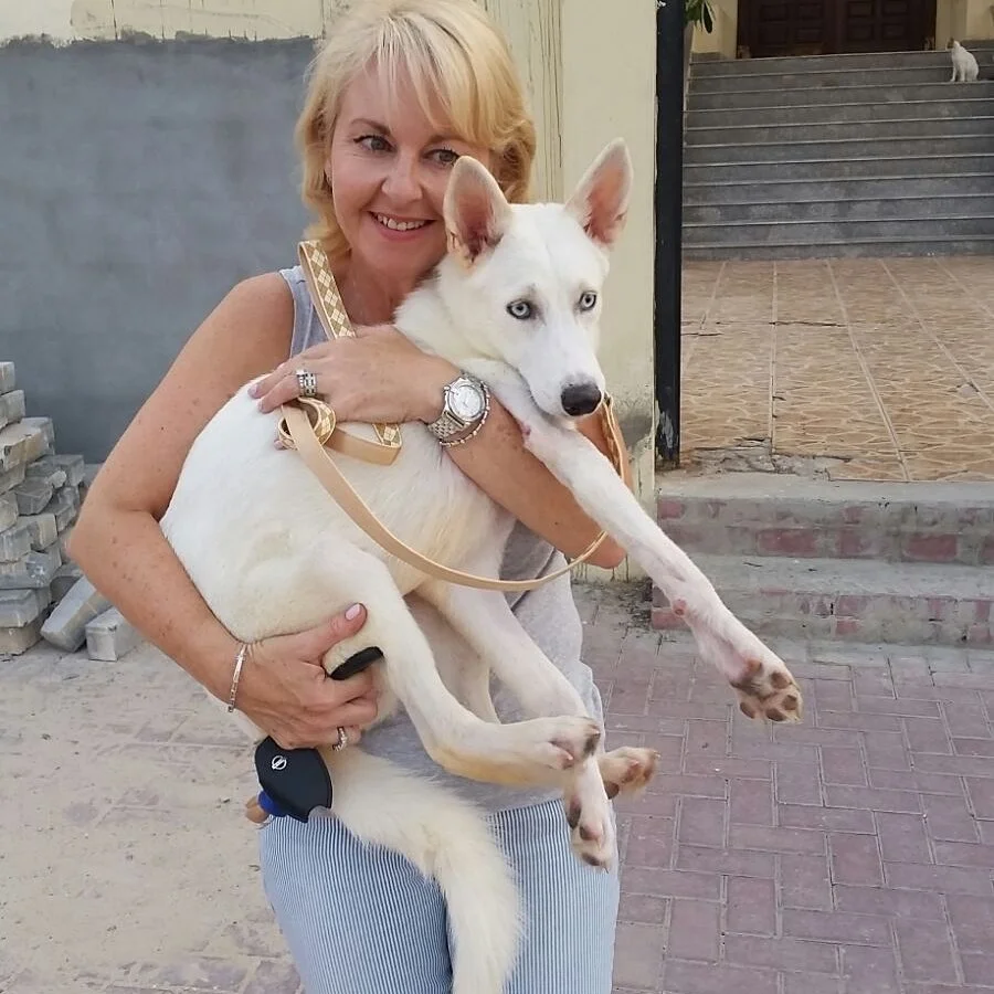 When an Animal Chooses You: The Moment Everything Changes