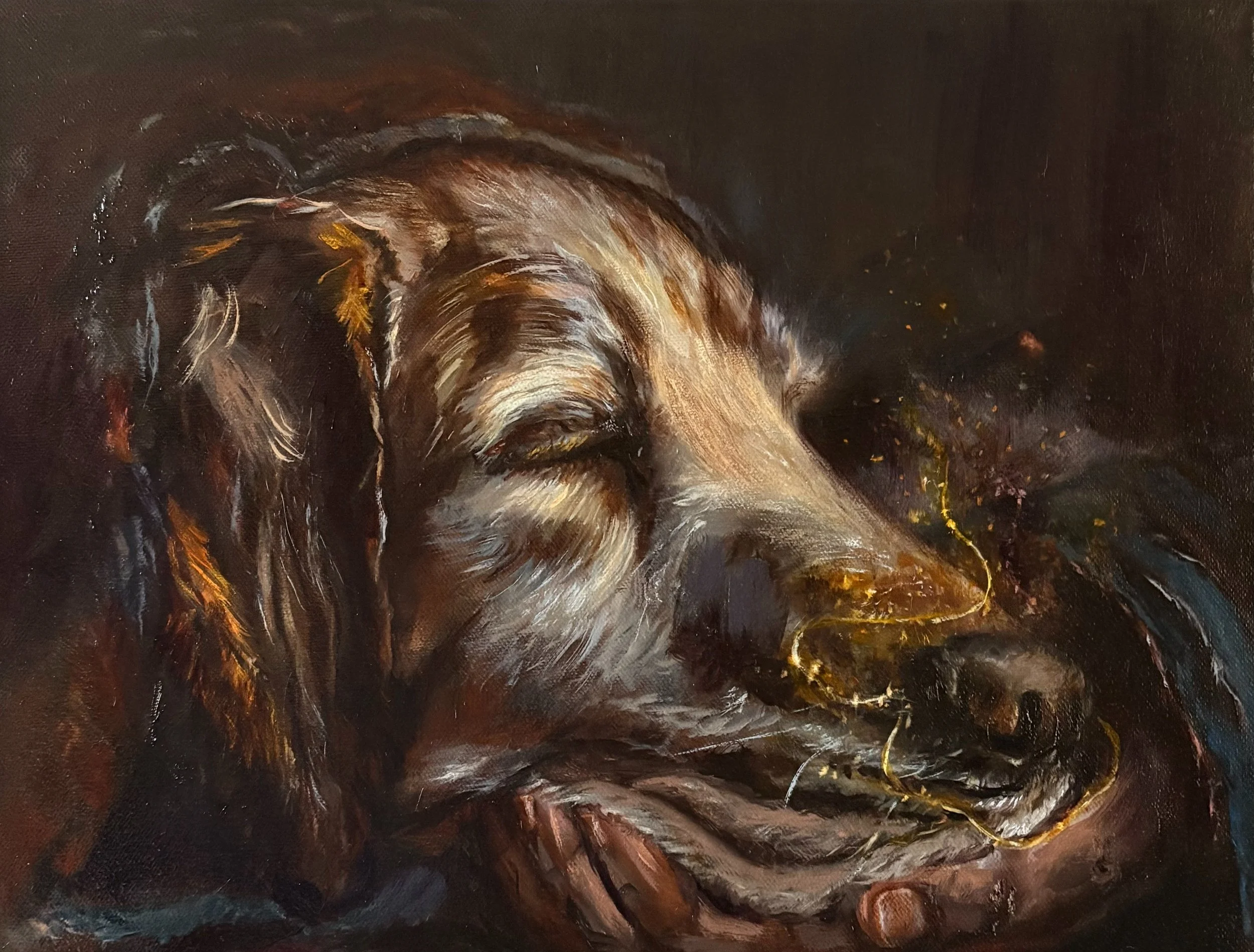 Before Words original oil painting by Debbie Moylan showing a dog resting its head in a human hand with golden thread symbolising spiritual connection