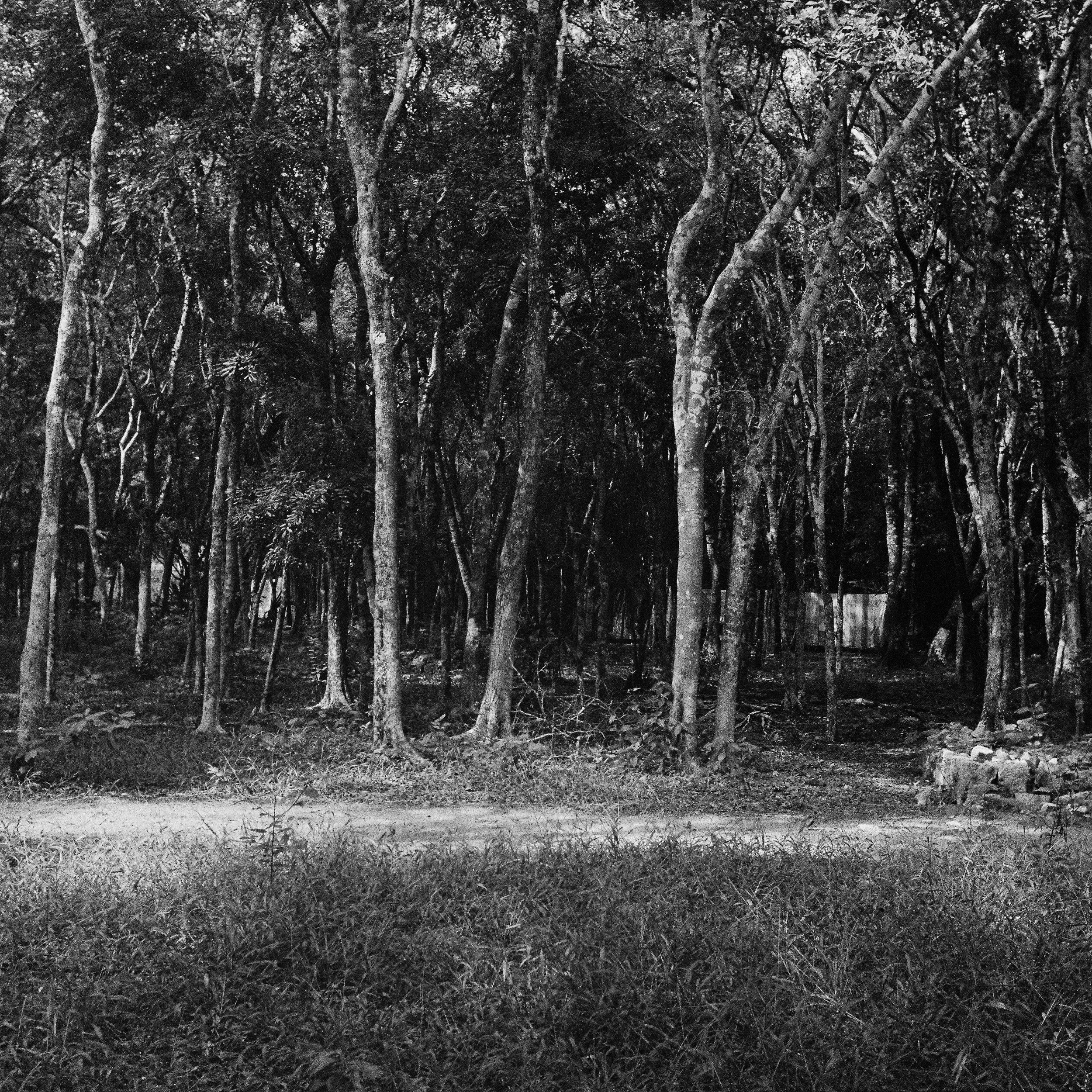 TB_7401_Tri-X%20400_015022-R1-E003.jpg