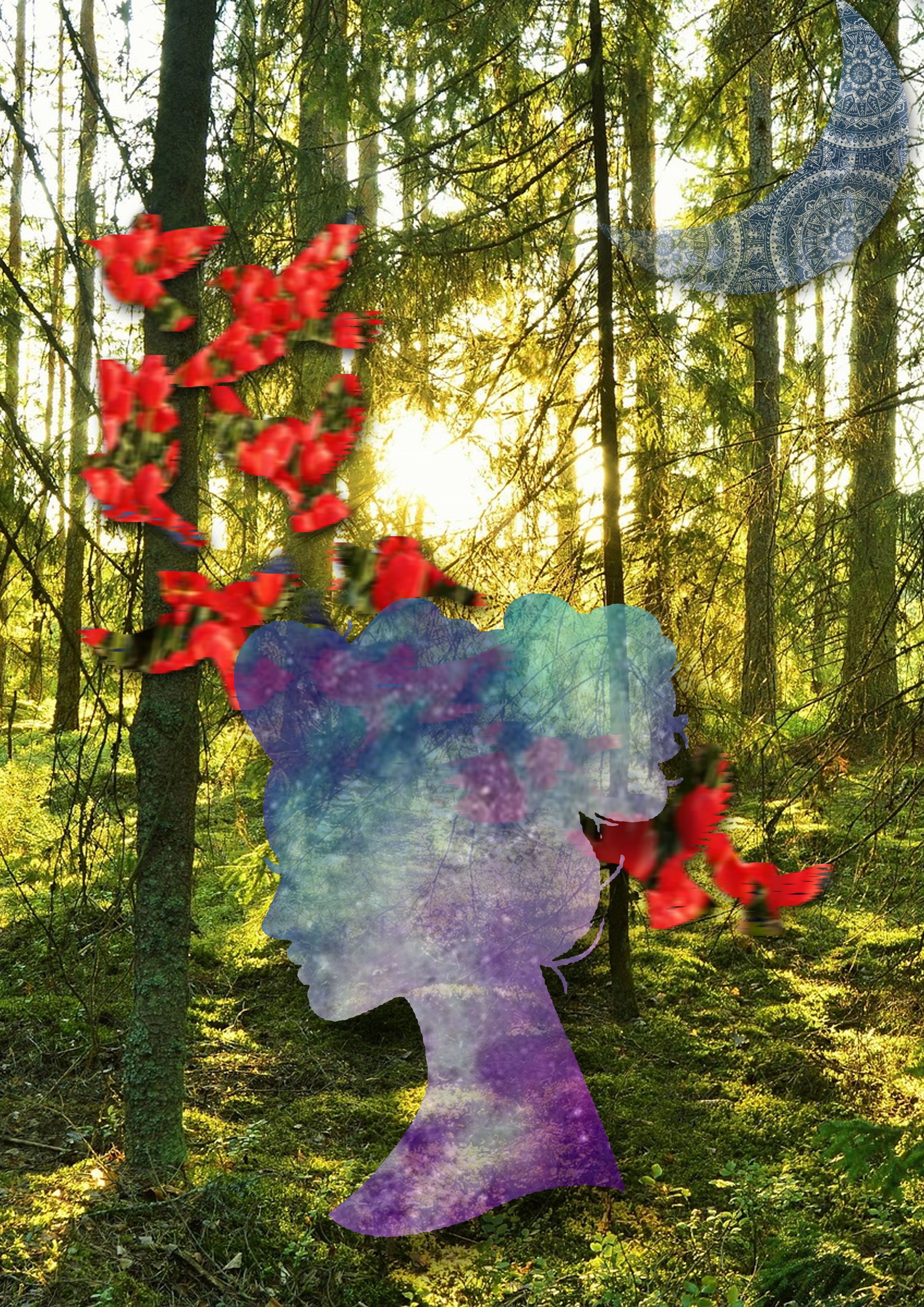 Surrealism "Silhouettes"