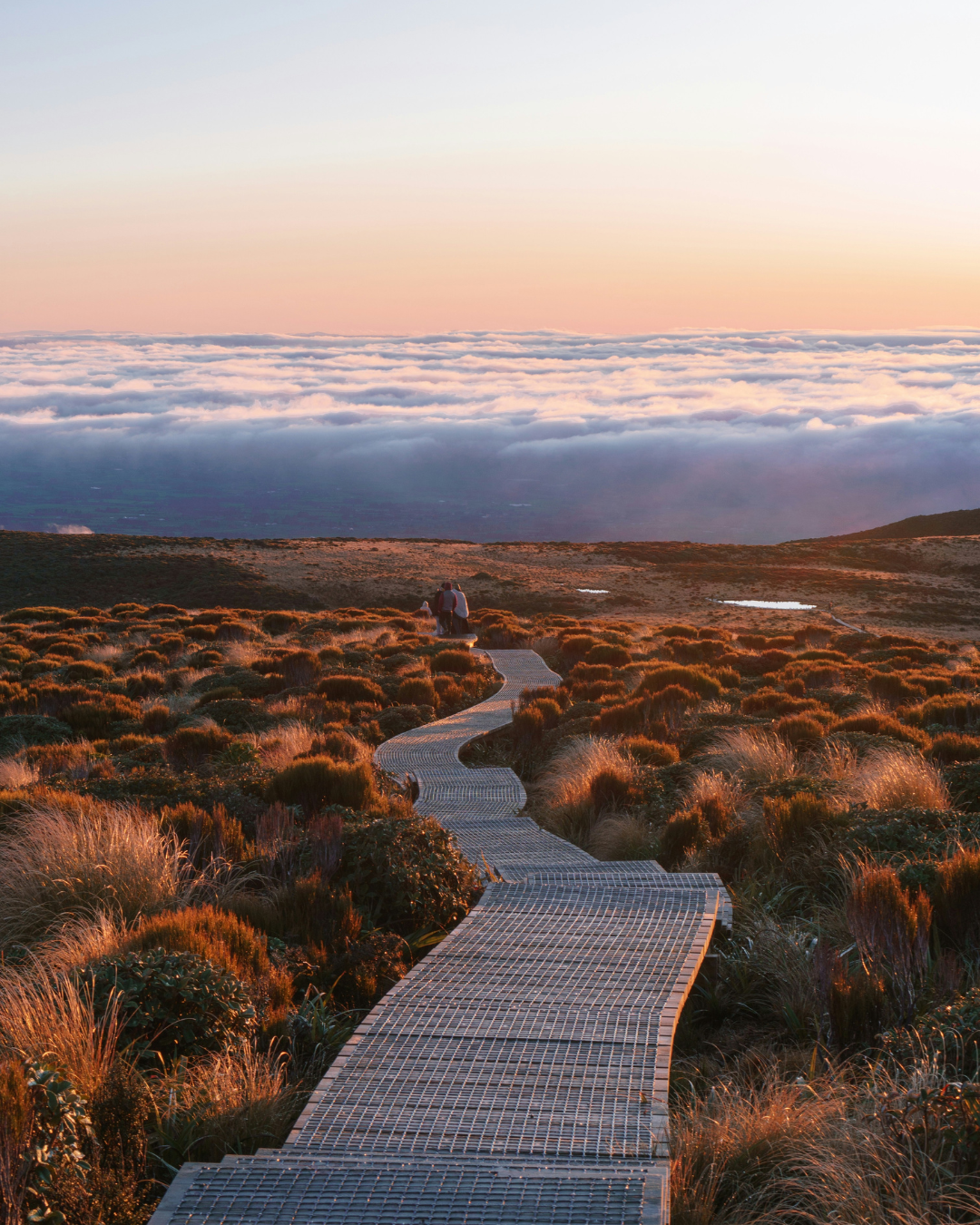 Process Is King: The Legal and Commercial Risks of Getting It Wrong