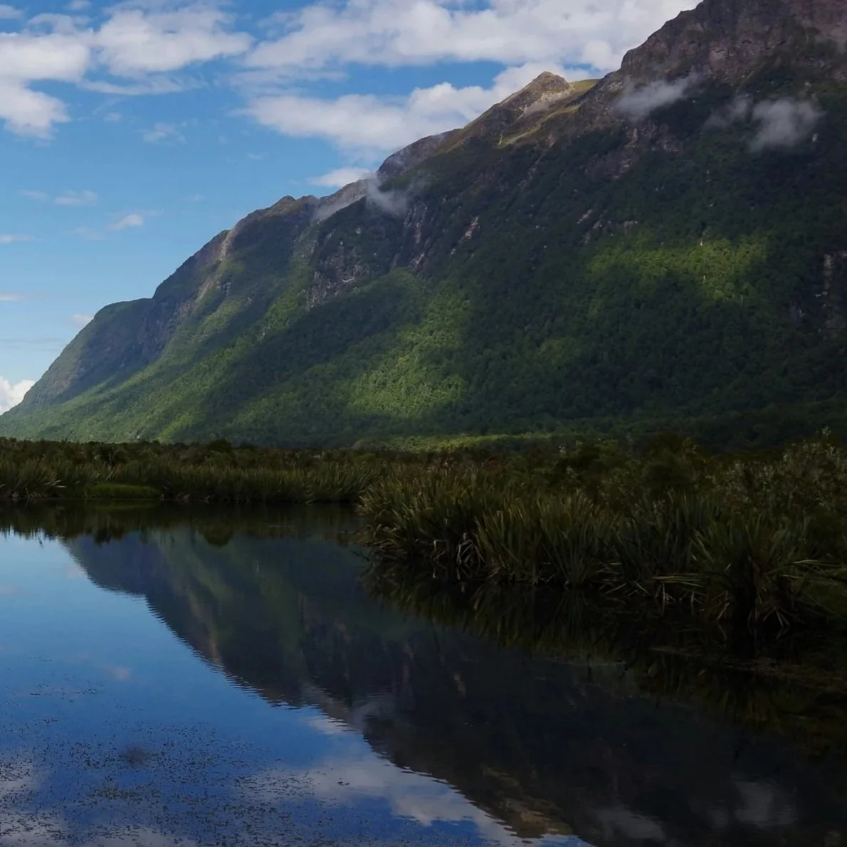 The Employment Relations Amendment Bill: What It Means for NZ Employers