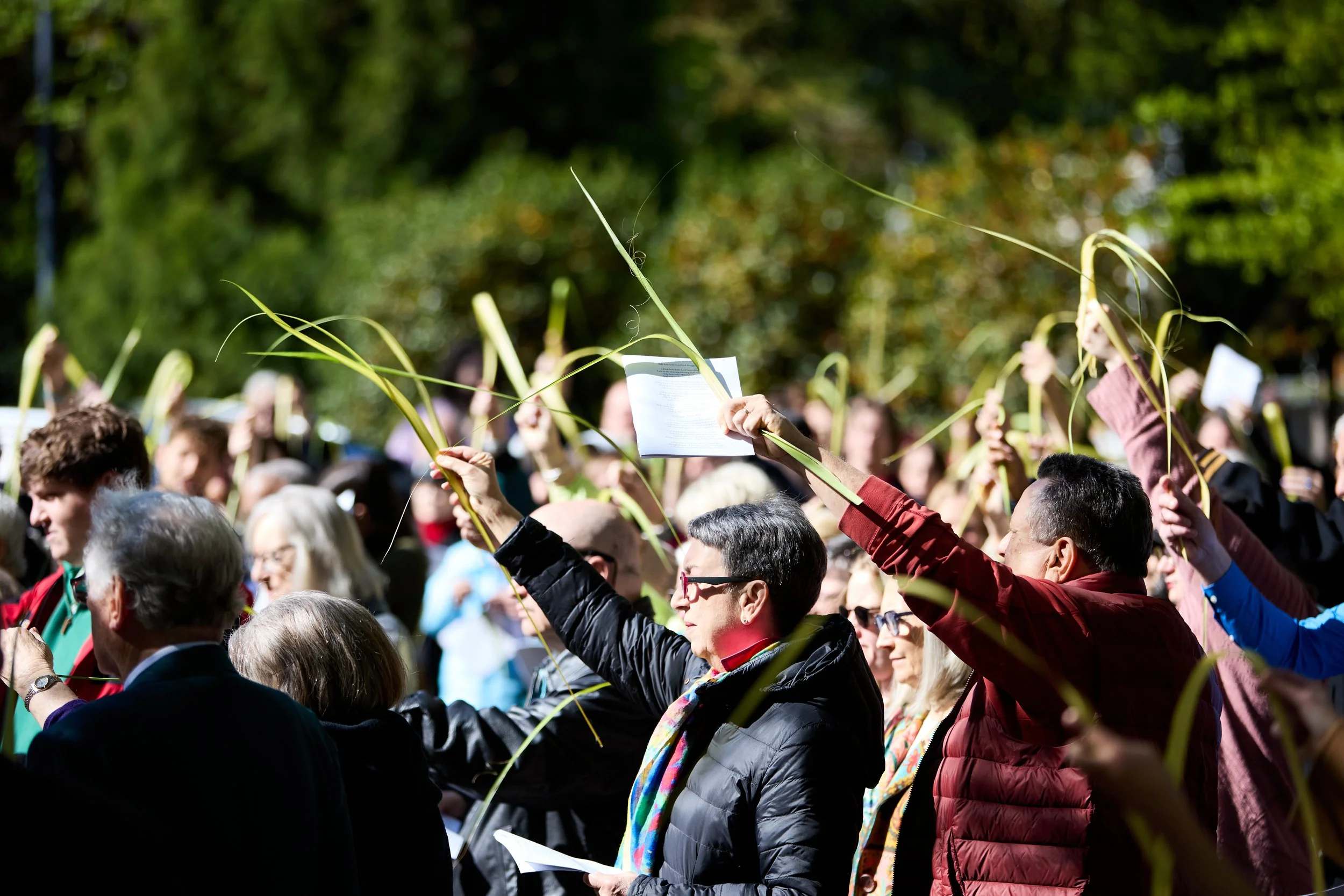 Palm Sunday - One Mass at 10am