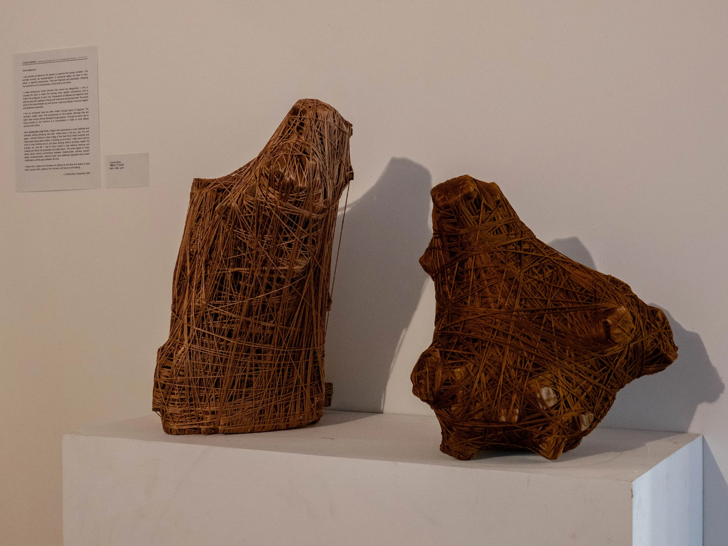 Copy of Long_Tone_PhotoDocumentation-Installation (10).jpg