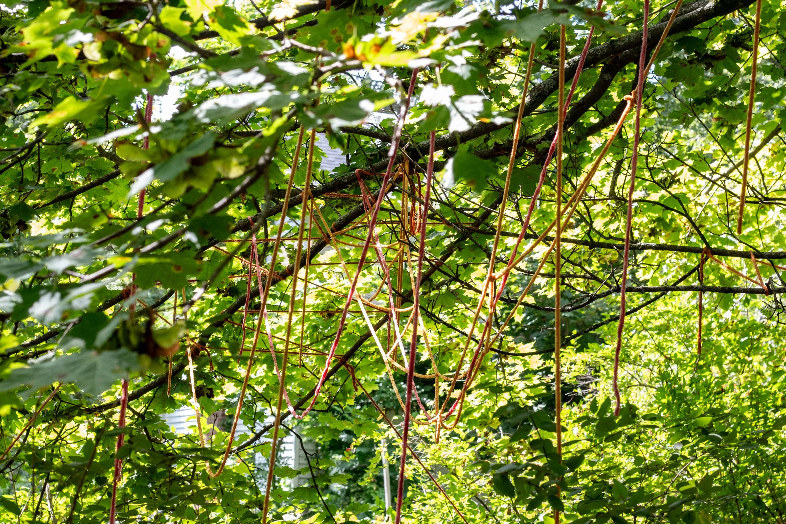 From Barn to the Woods_Weenta 01.jpg