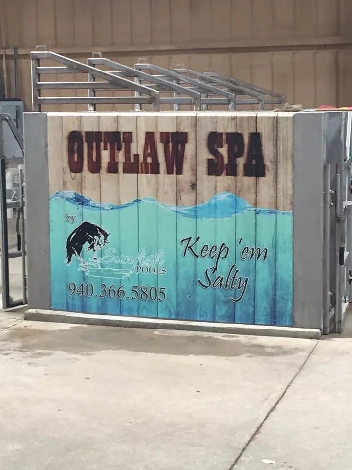 Equine Hydrotherapy