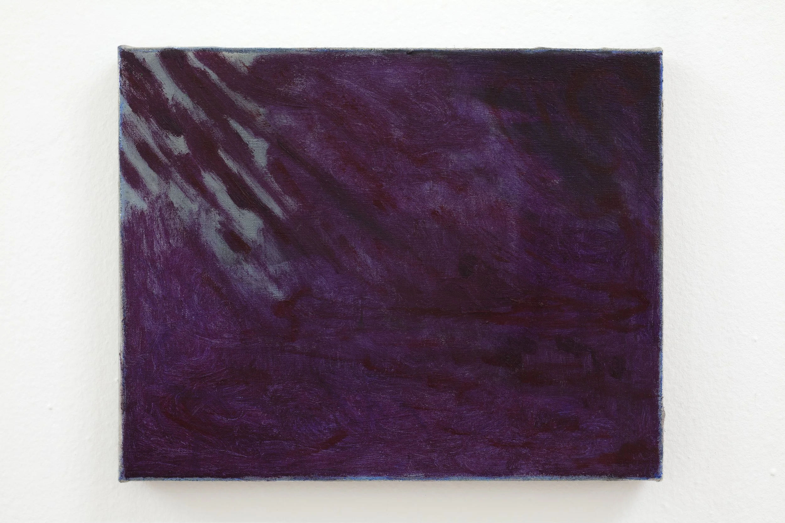 Anti-diluvianism Augusta Lardy Micheli Karen Huber Mexico City