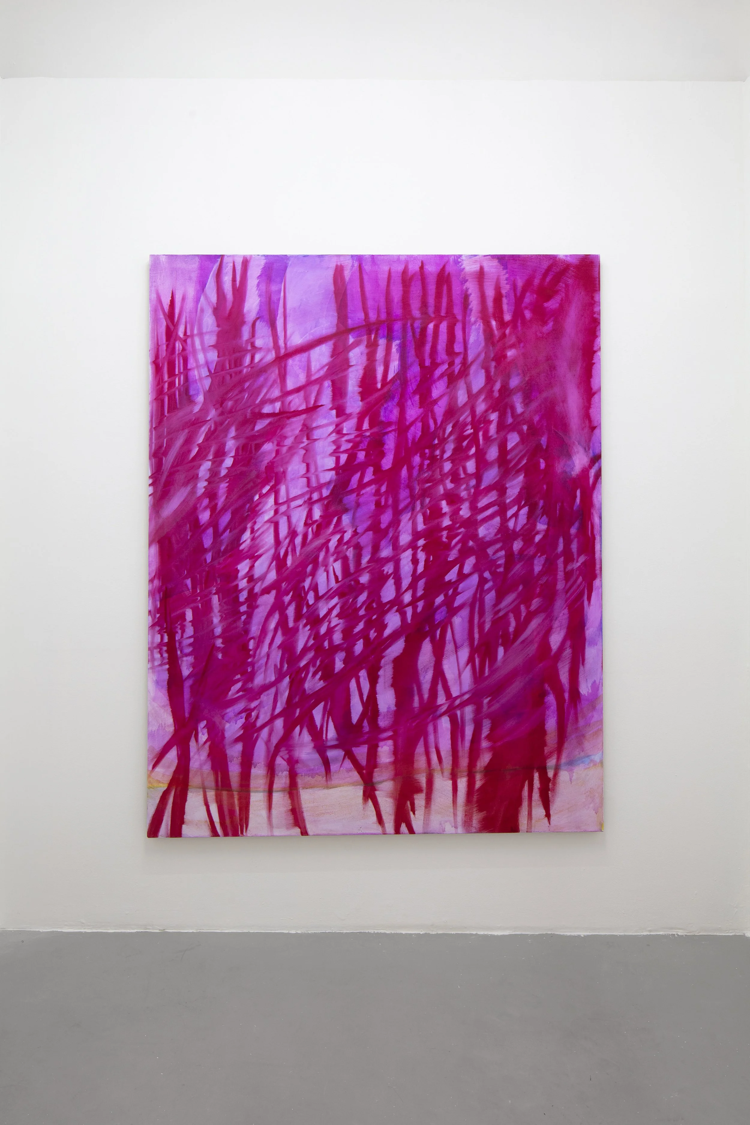 Mûres et cataclysmes divers  Augusta Lardy Micheli