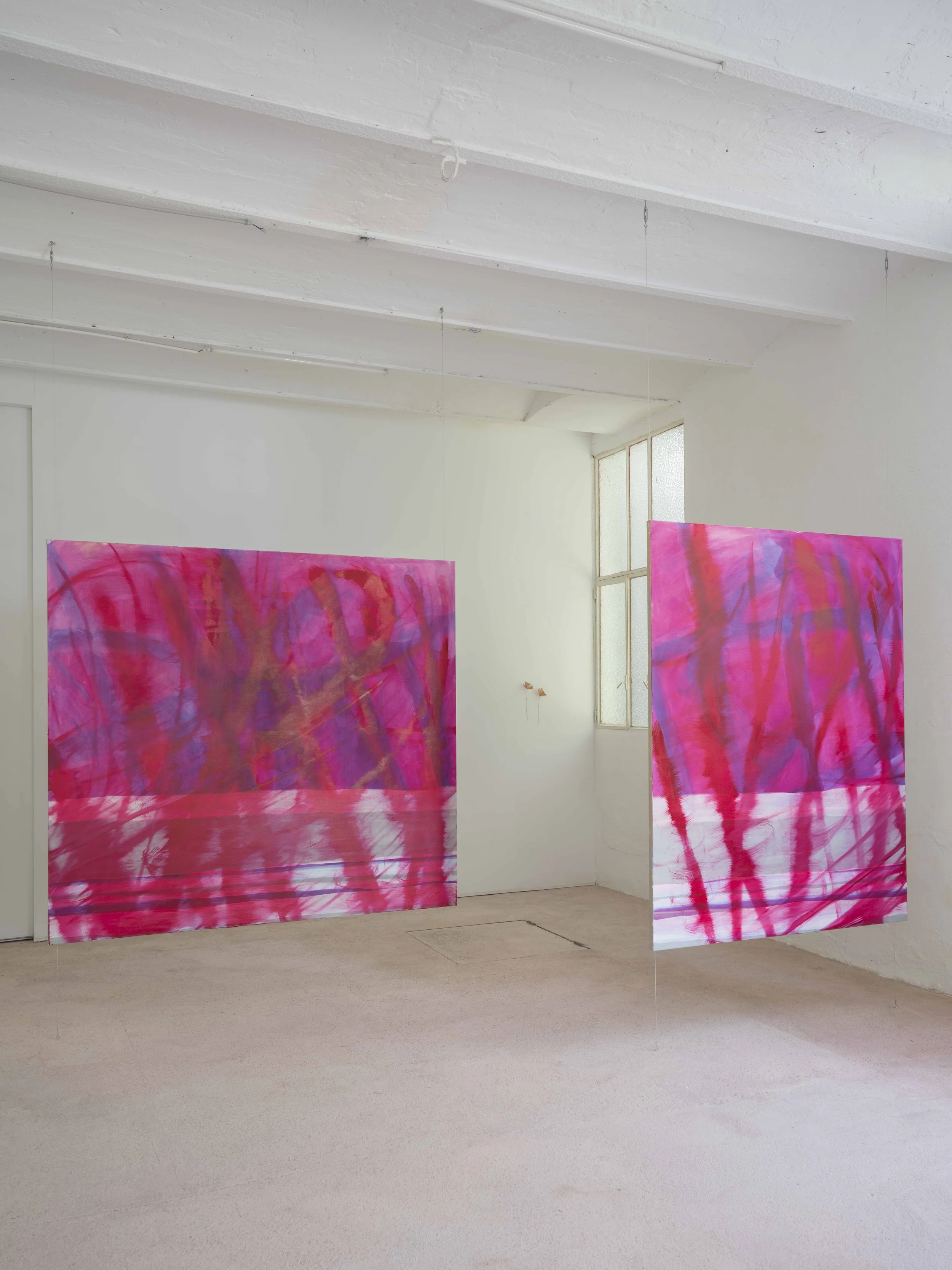 Mûres et cataclysmes divers Augusta Lardy Marie Hazard Belmonte