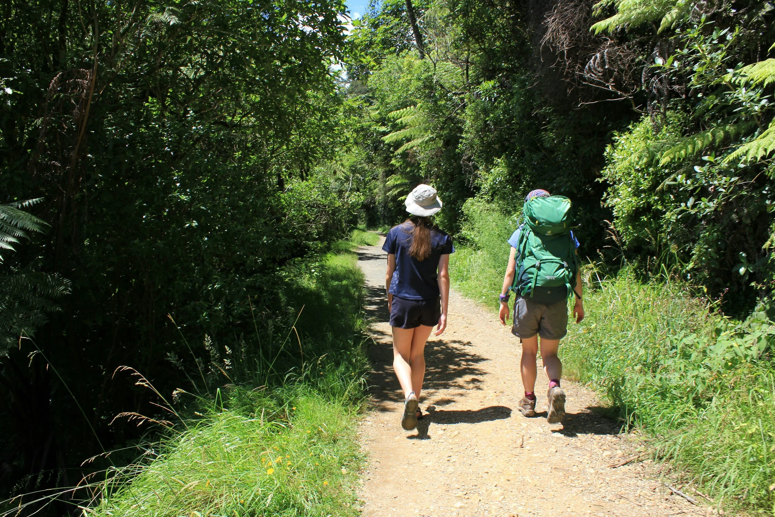 Two women walk on a dirt trail through lush green trees and foliage on a sunny day.
