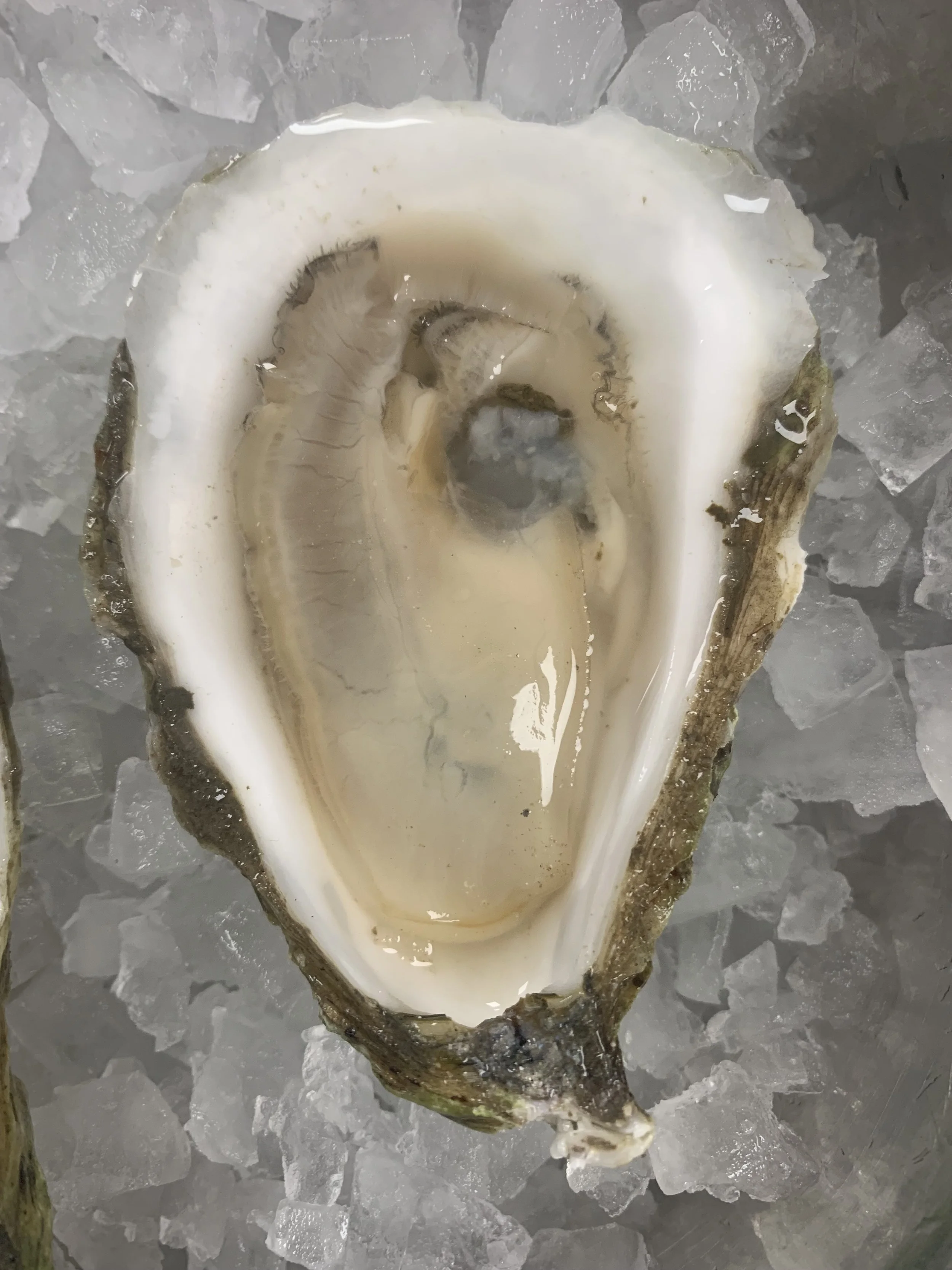 The Market — Brookies