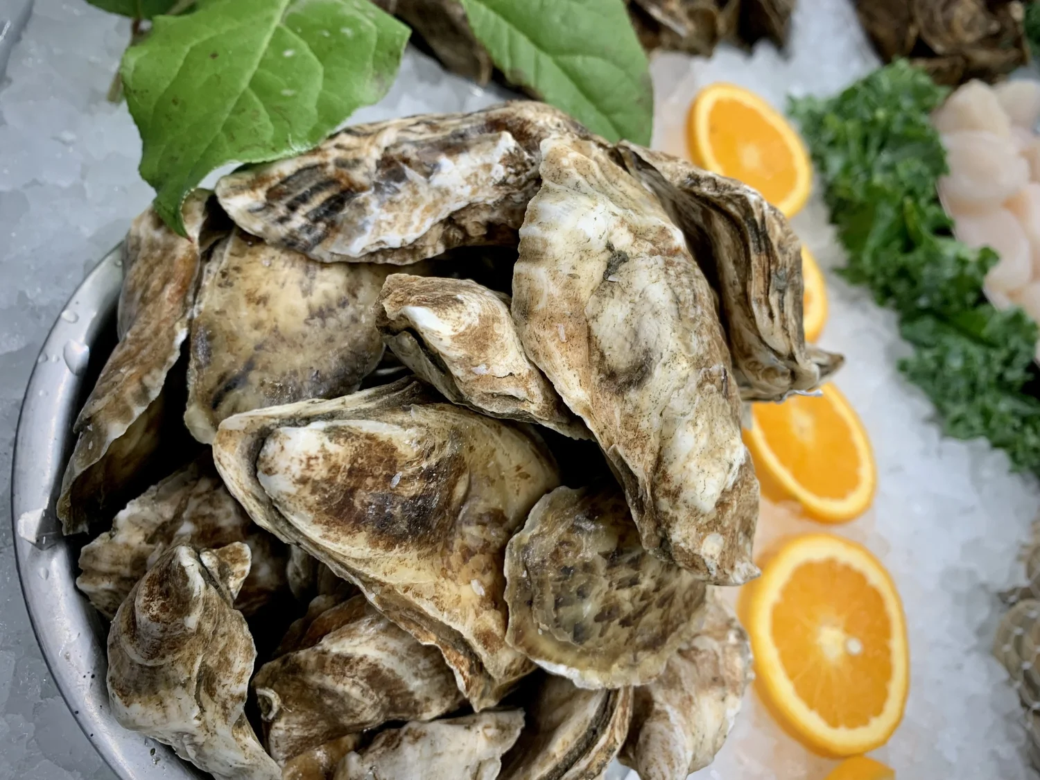 The Market — Brookies