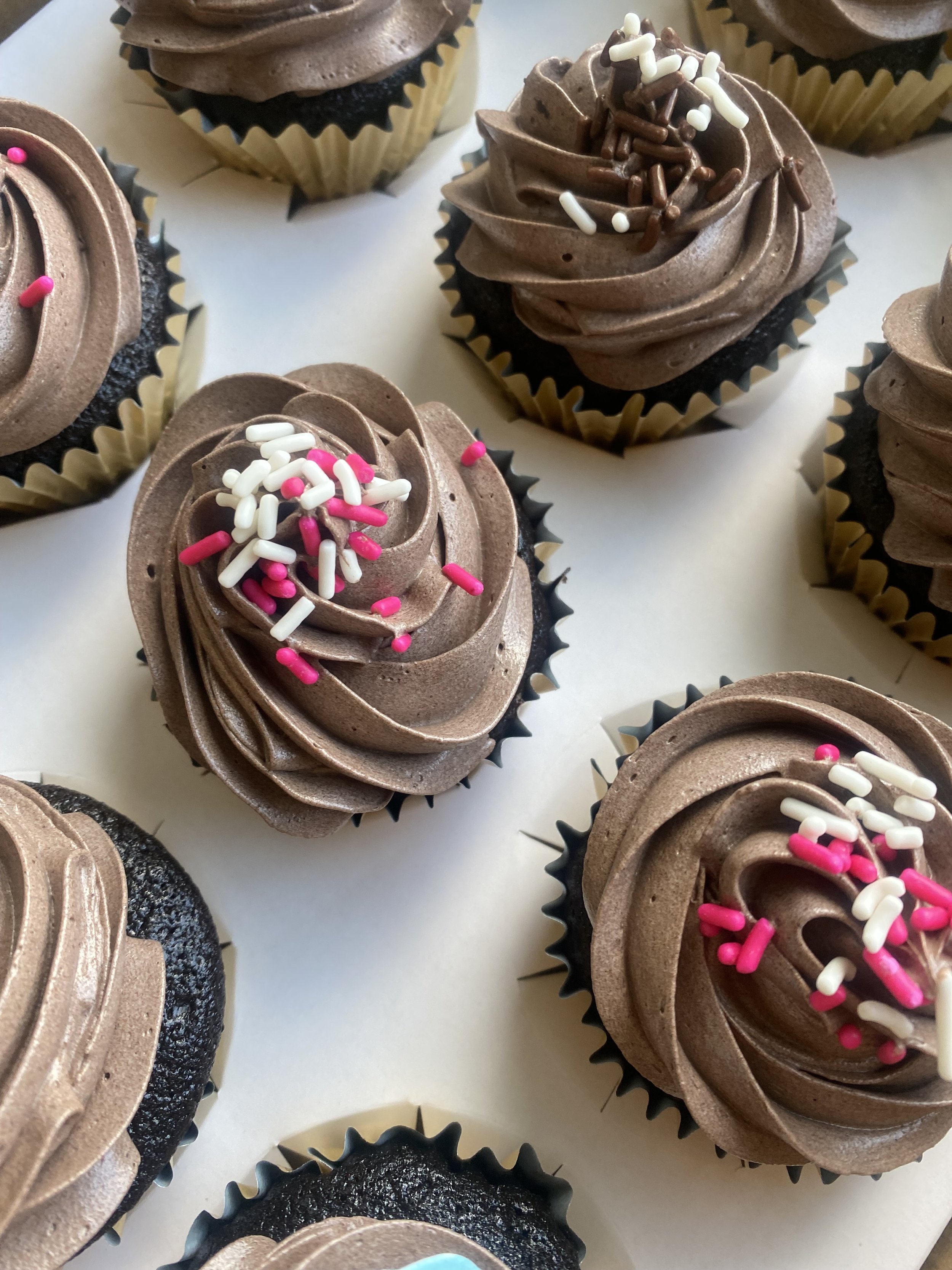 Choc cupcakes.jpg