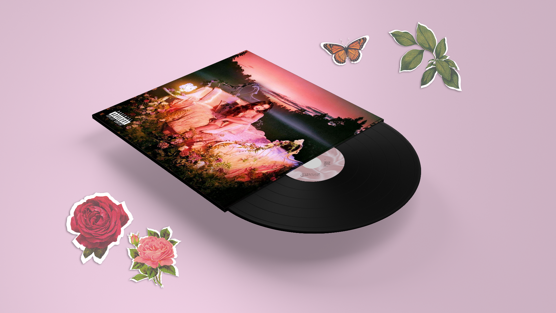 Vinyl.png