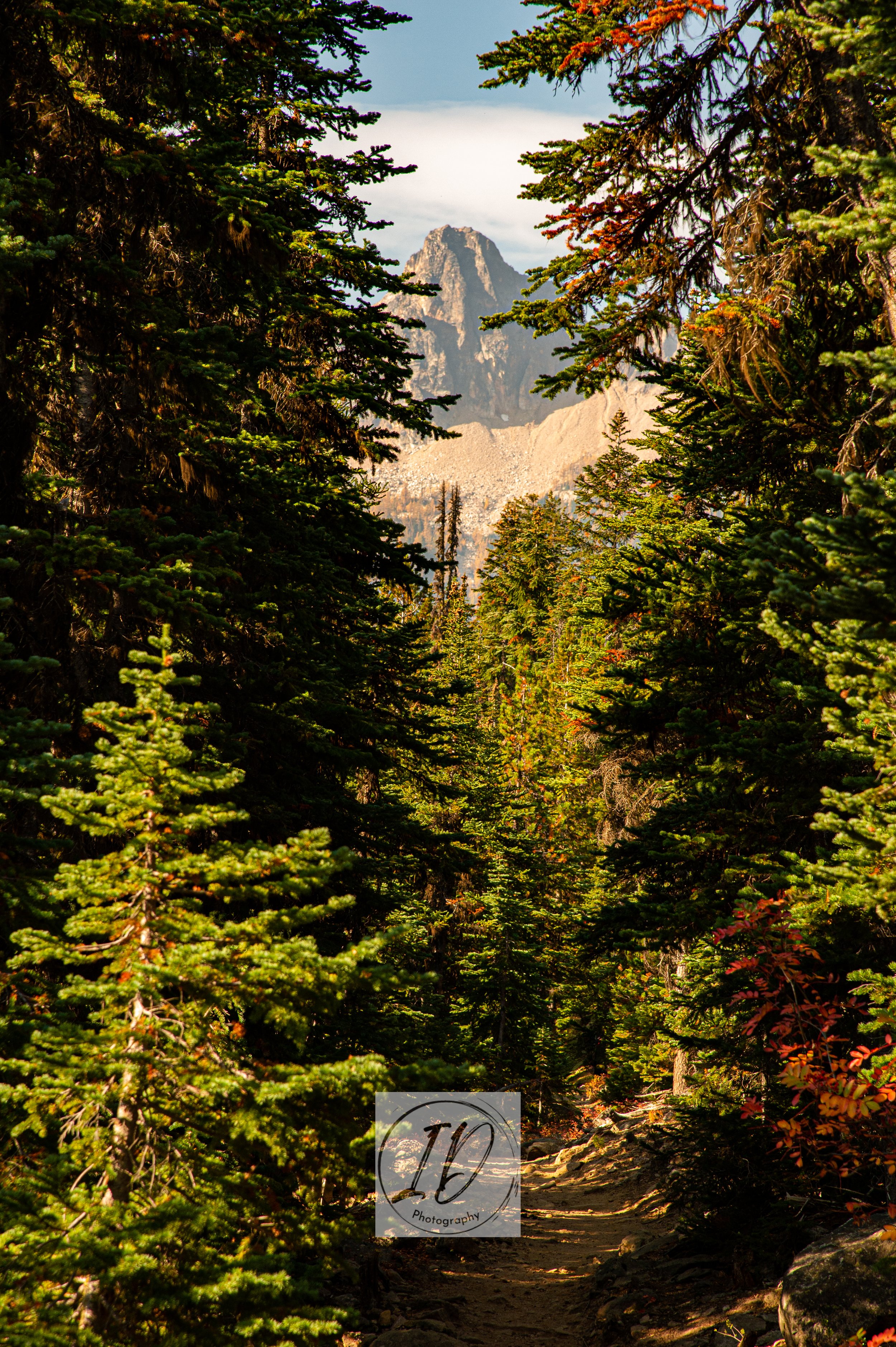 DSC_2122.jpg