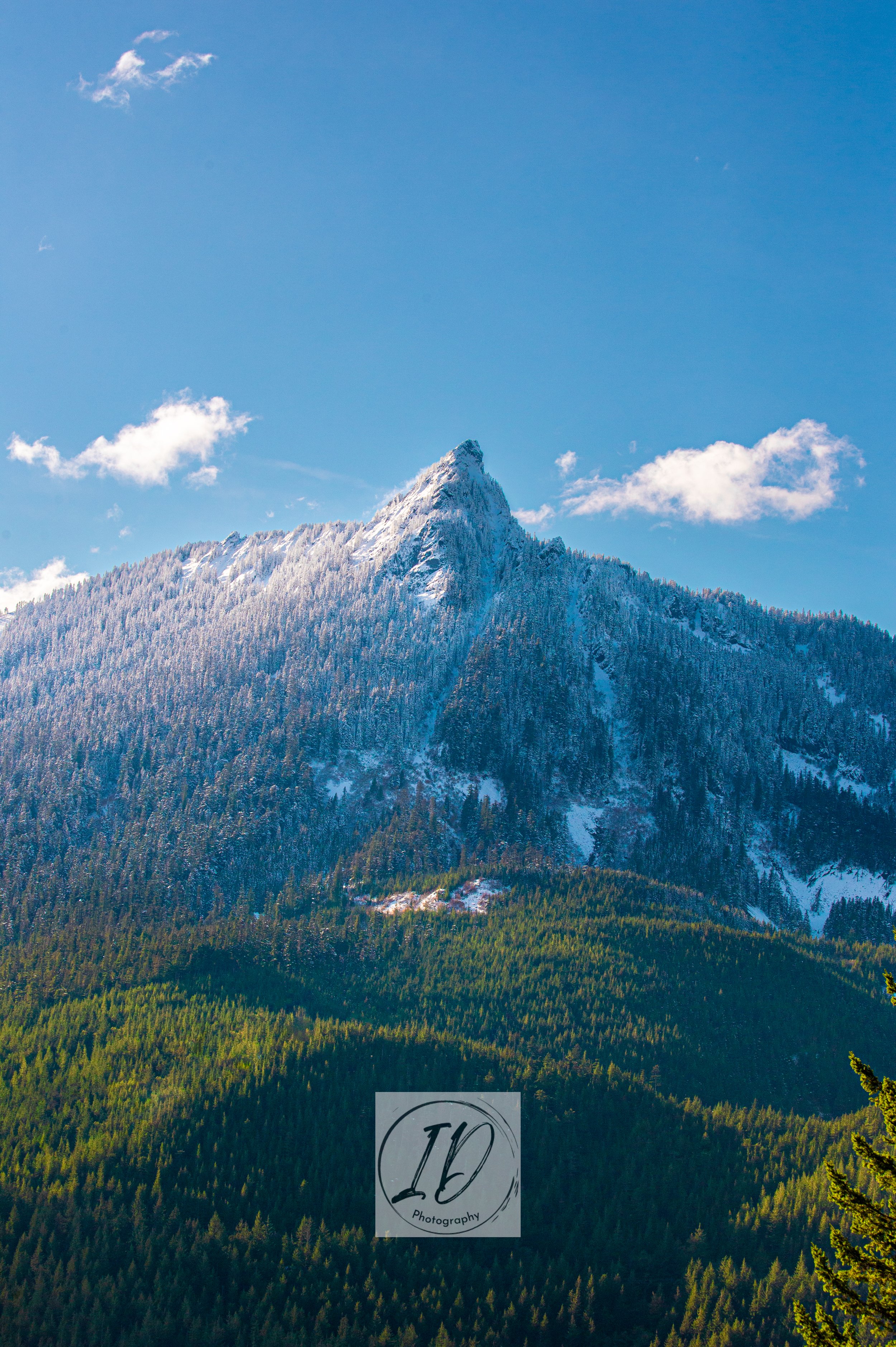 SwissLookingMntnCR.jpg