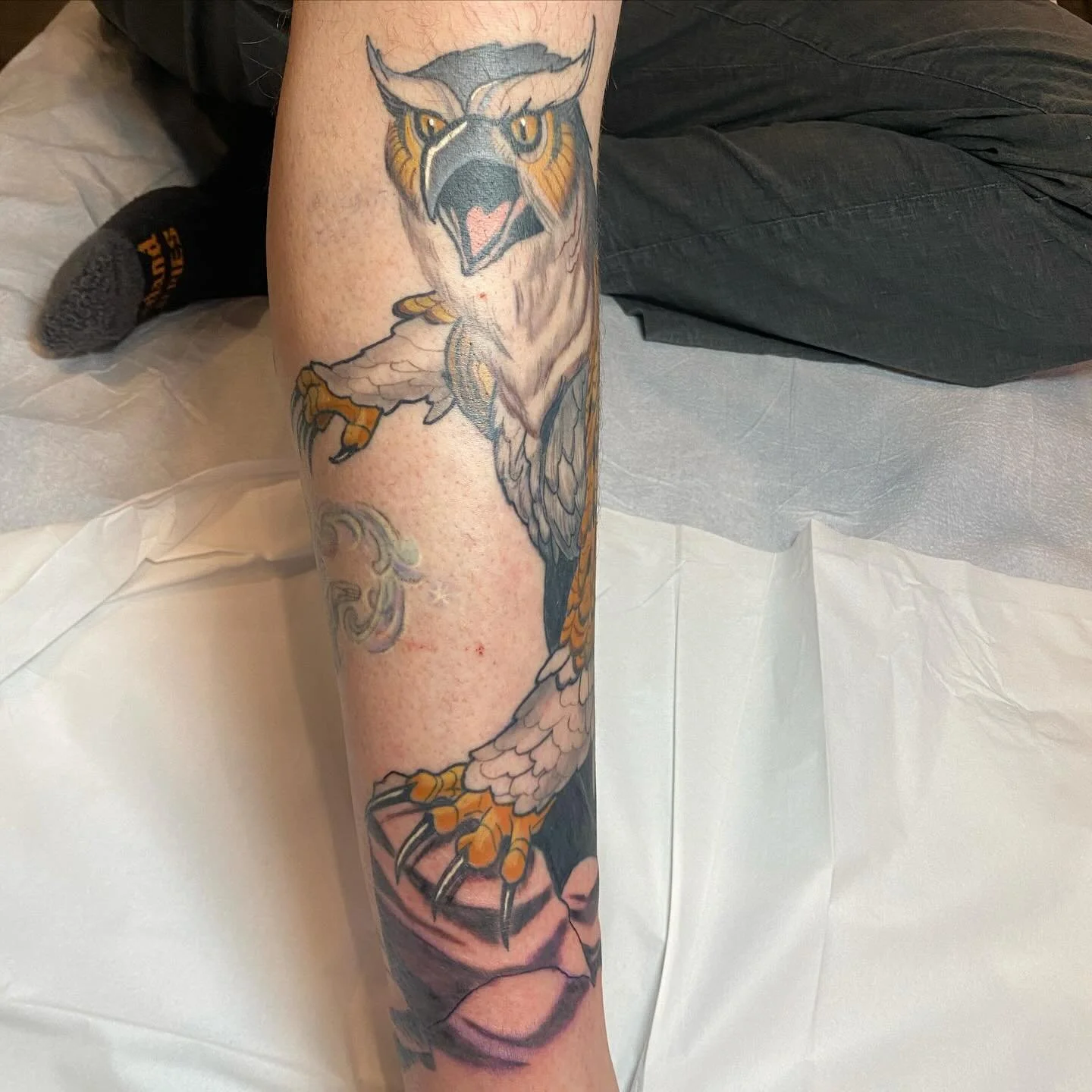 Hard to photograph this giant owlbear tattoo but I freaking love it. Rocks in the foreground are freshly shaded, everything else is healed. Huge thanks to the homie Ant for bringing me more D&amp;D creatures to tattoo. 

#dungeonsanddragons #owlbear 