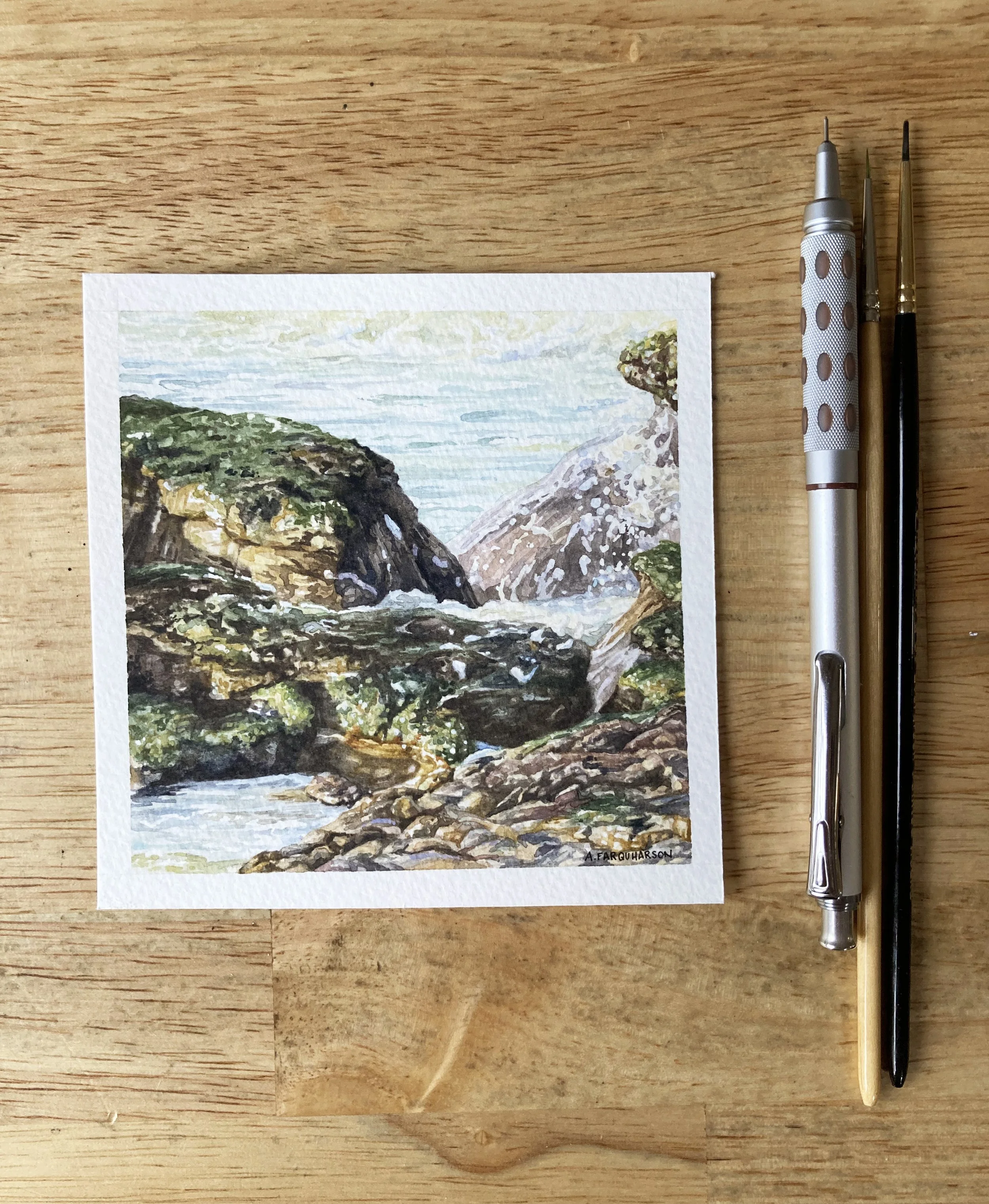 Mossy Rocks on California Coast - brushes for scale.jpeg