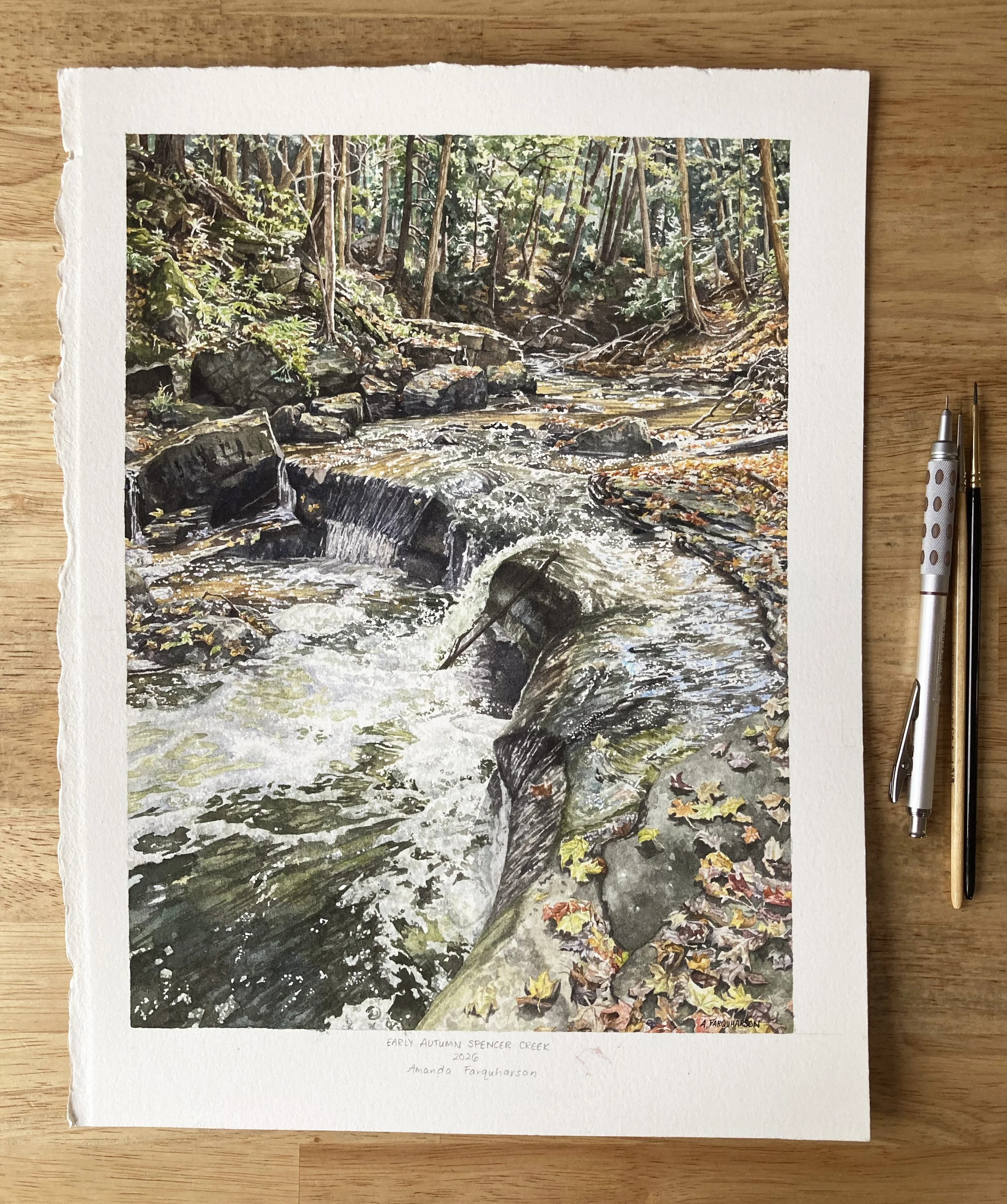 Early Autumn Spencer Creek with brushes for scale.jpg