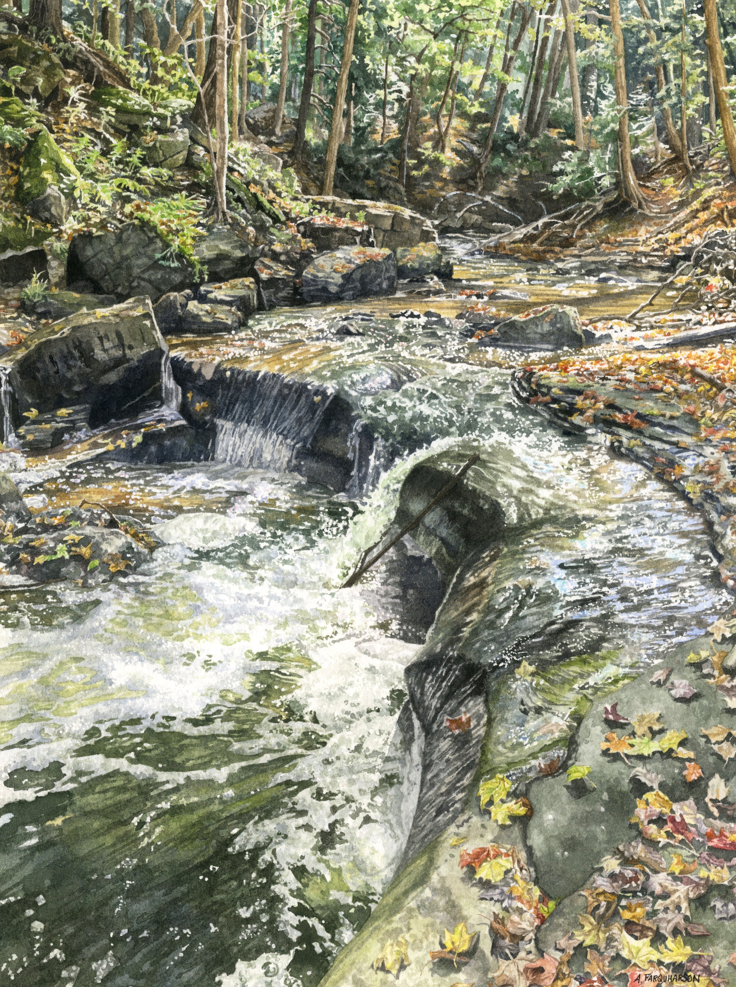 Early Autumn Spencer Creek - 2026 - Amanda Farquharson - Web.jpg