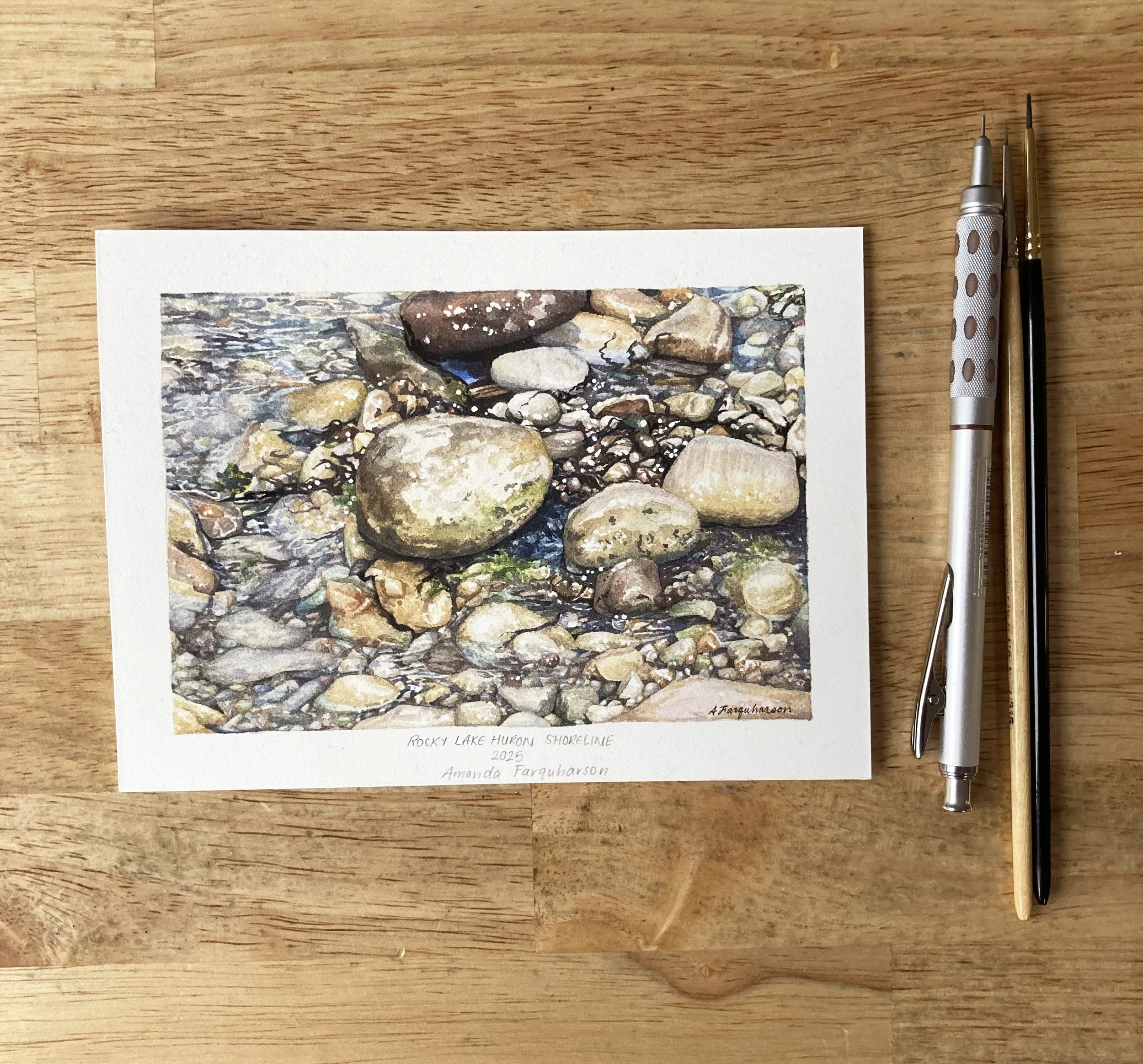 Rocky Lake Huron Shoreline wiith brushes for scale.jpg